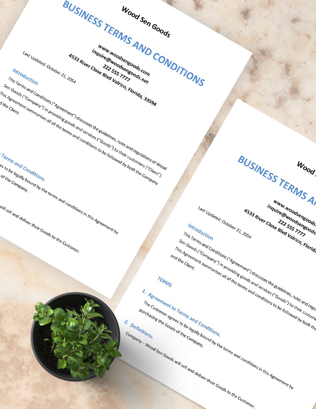 Business Terms And Conditions Template