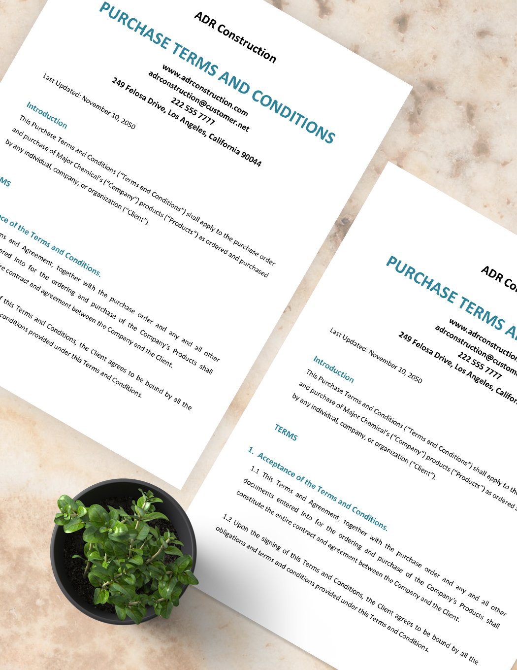 Purchase Terms And Conditions Template