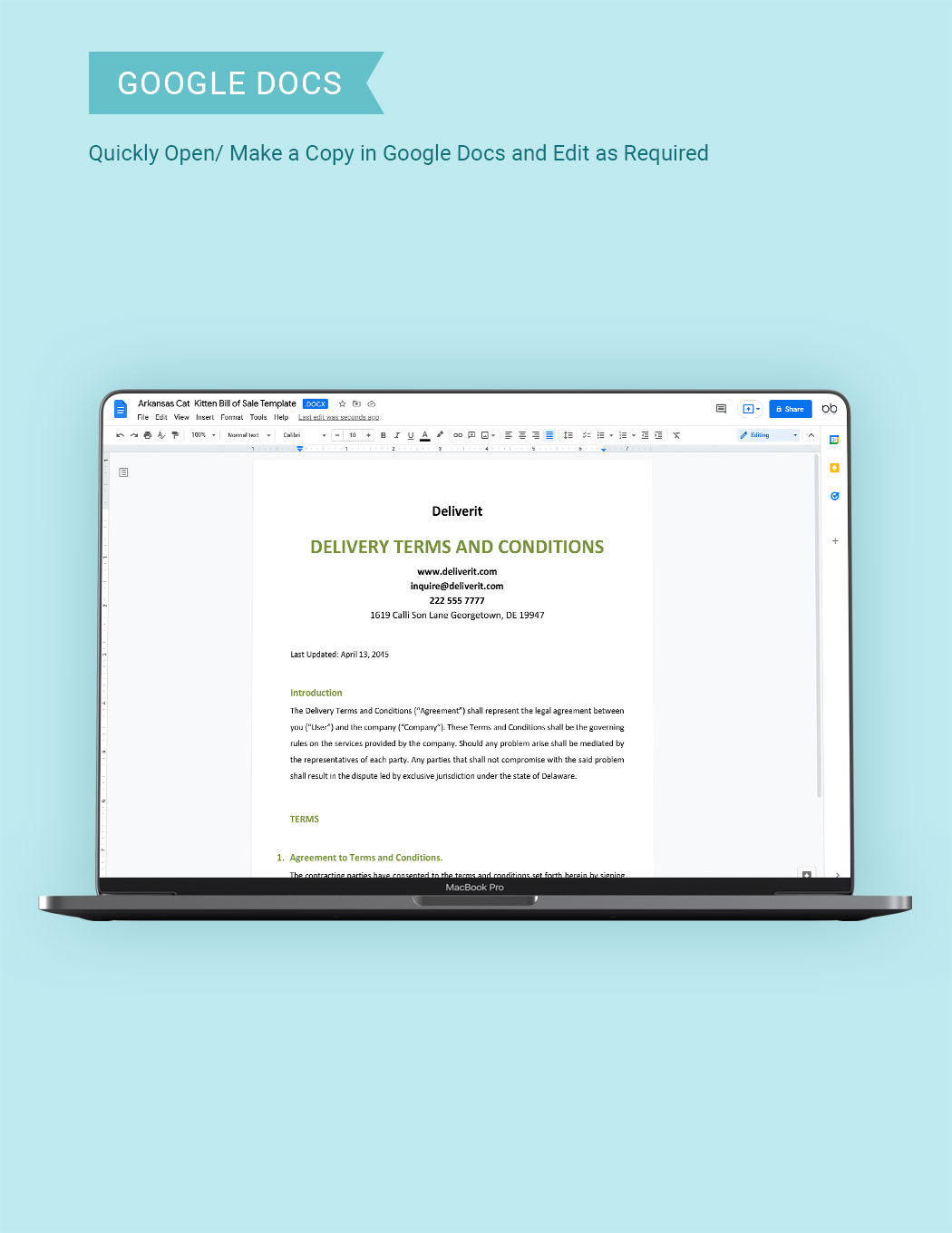 delivery-terms-and-conditions-template-download-in-word-google-docs