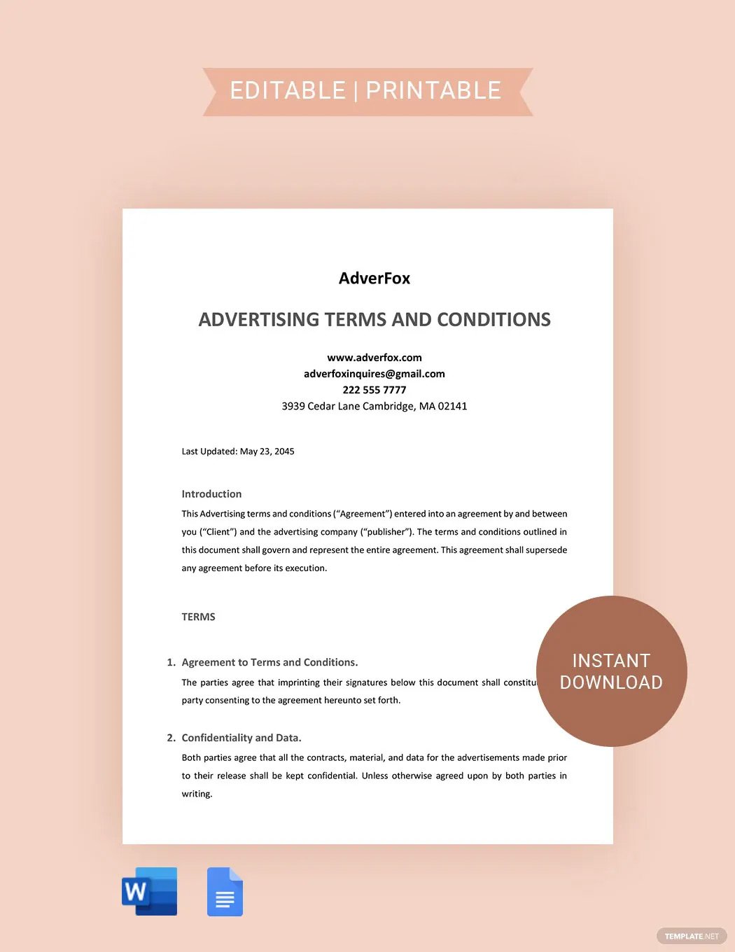 Advertsising Terms and Conditions Template in Word, Google Docs