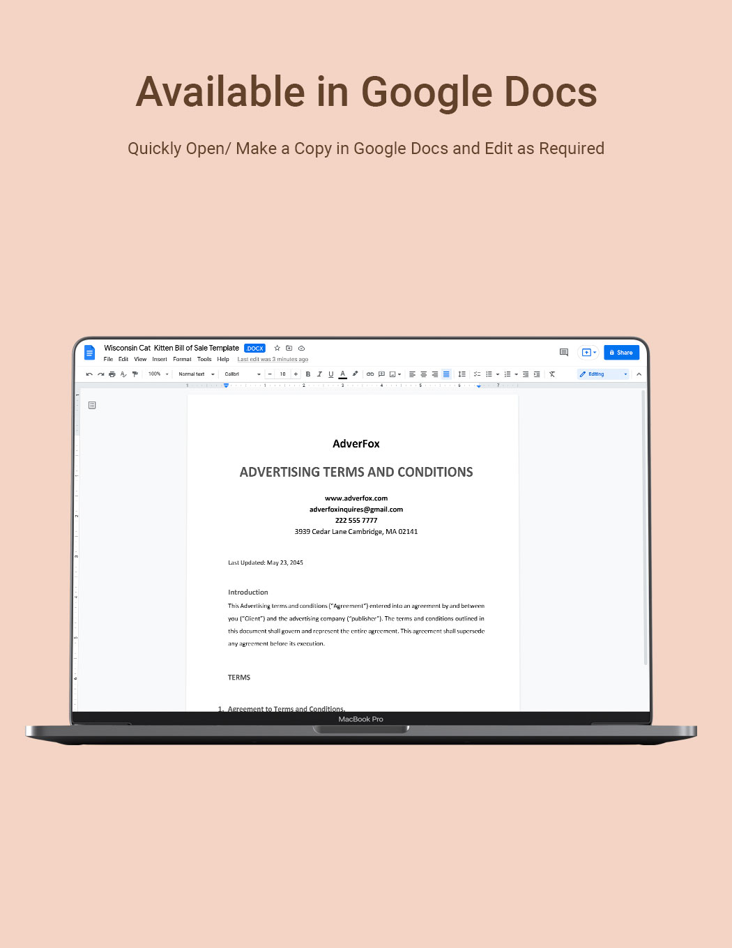 Advertsising Terms and Conditions Template