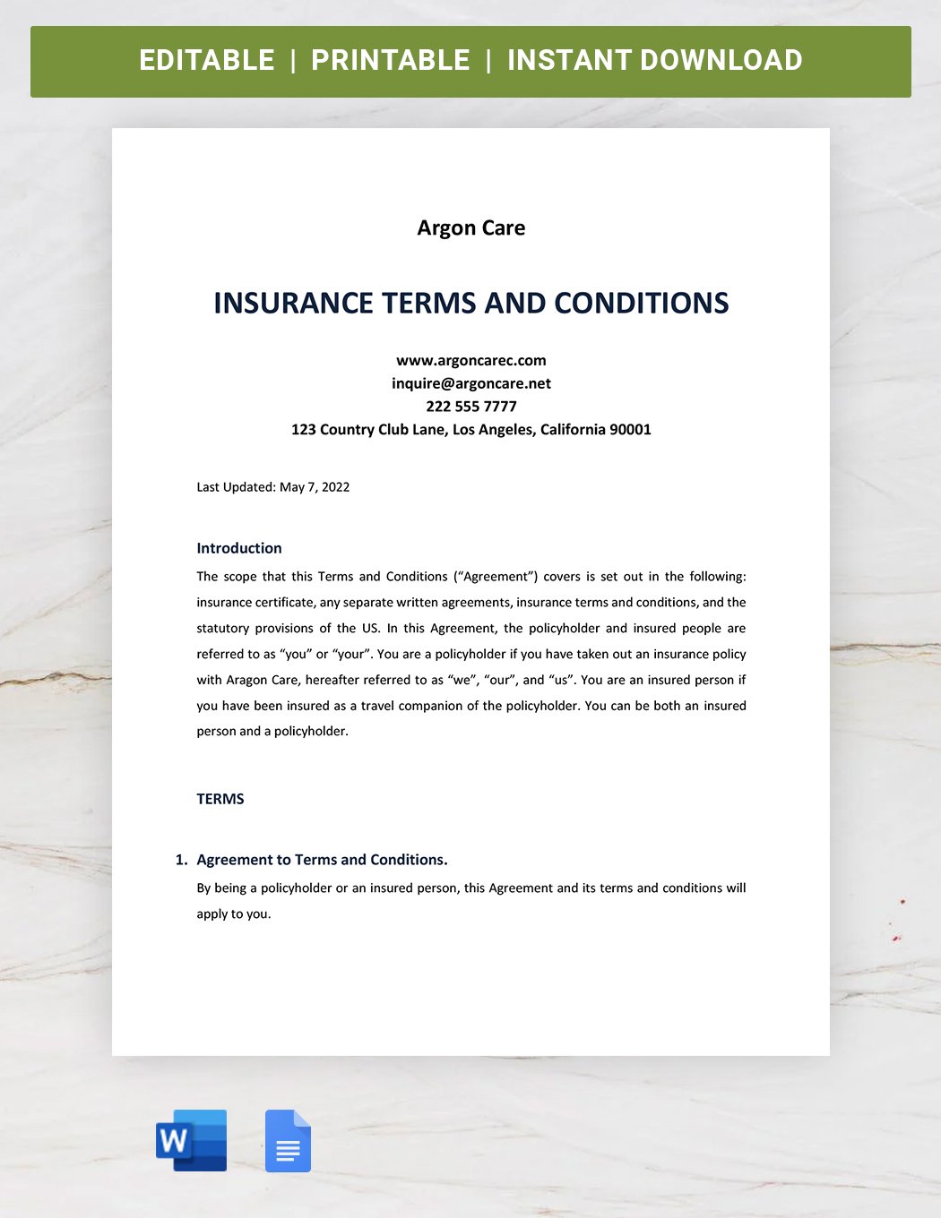 Insurance Terms And Conditions Template
