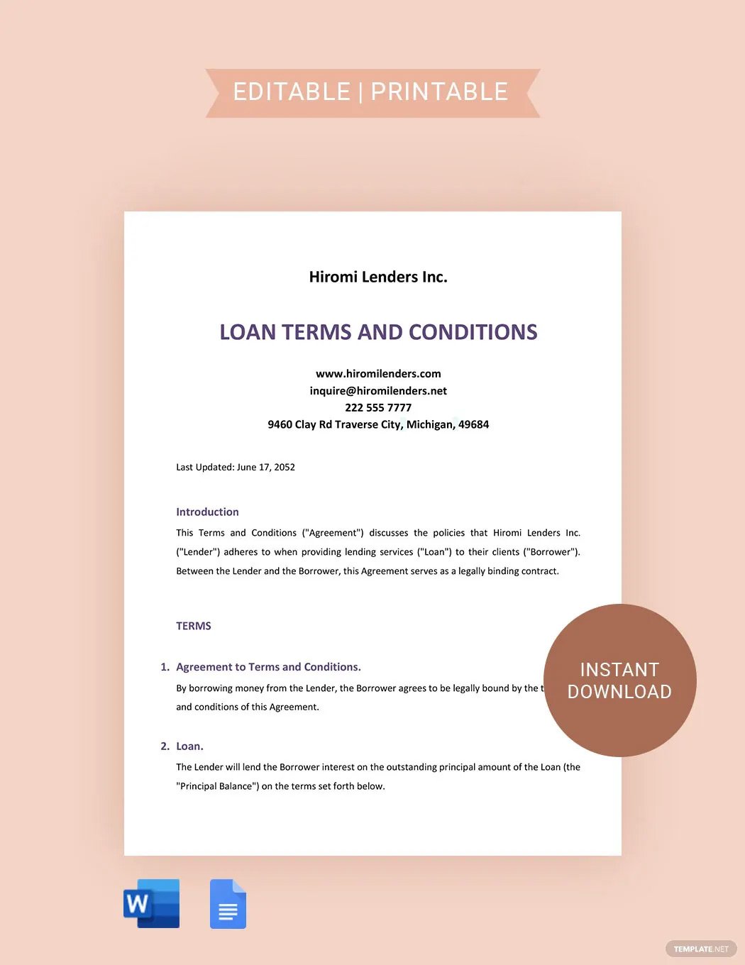 Loan Terms And Conditions Template in Word, Google Docs