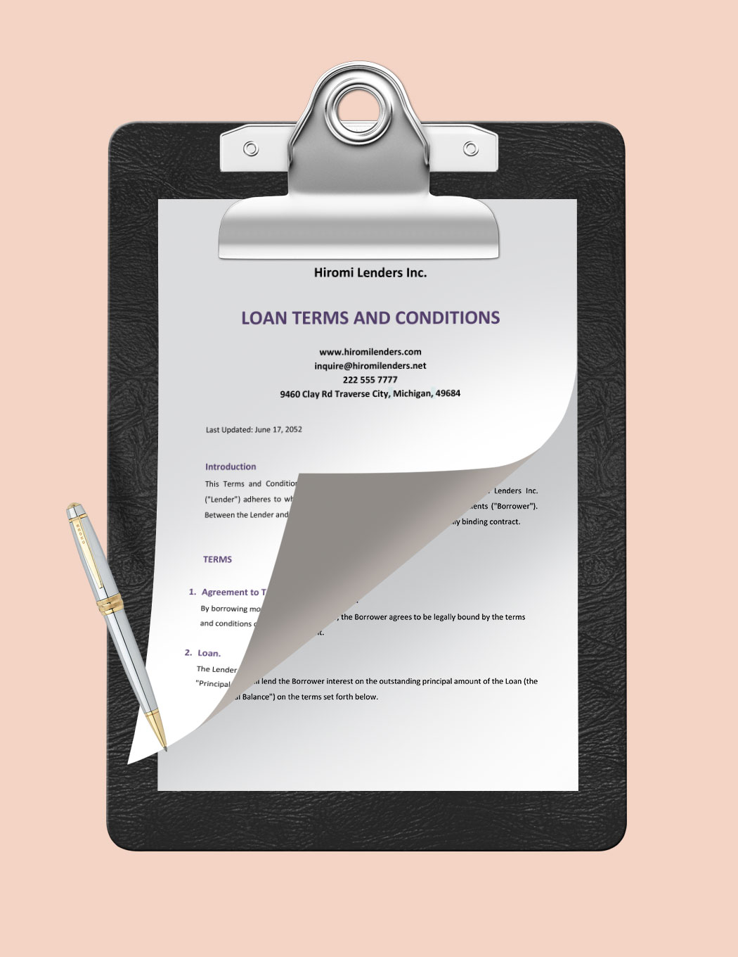 Loan Terms And Conditions Template