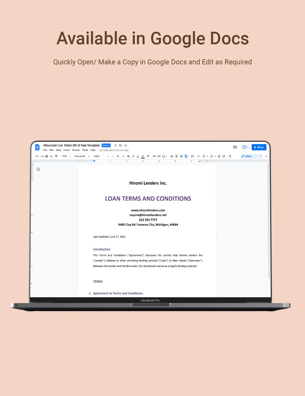 Loan Terms And Conditions Template In Word Google Docs Download