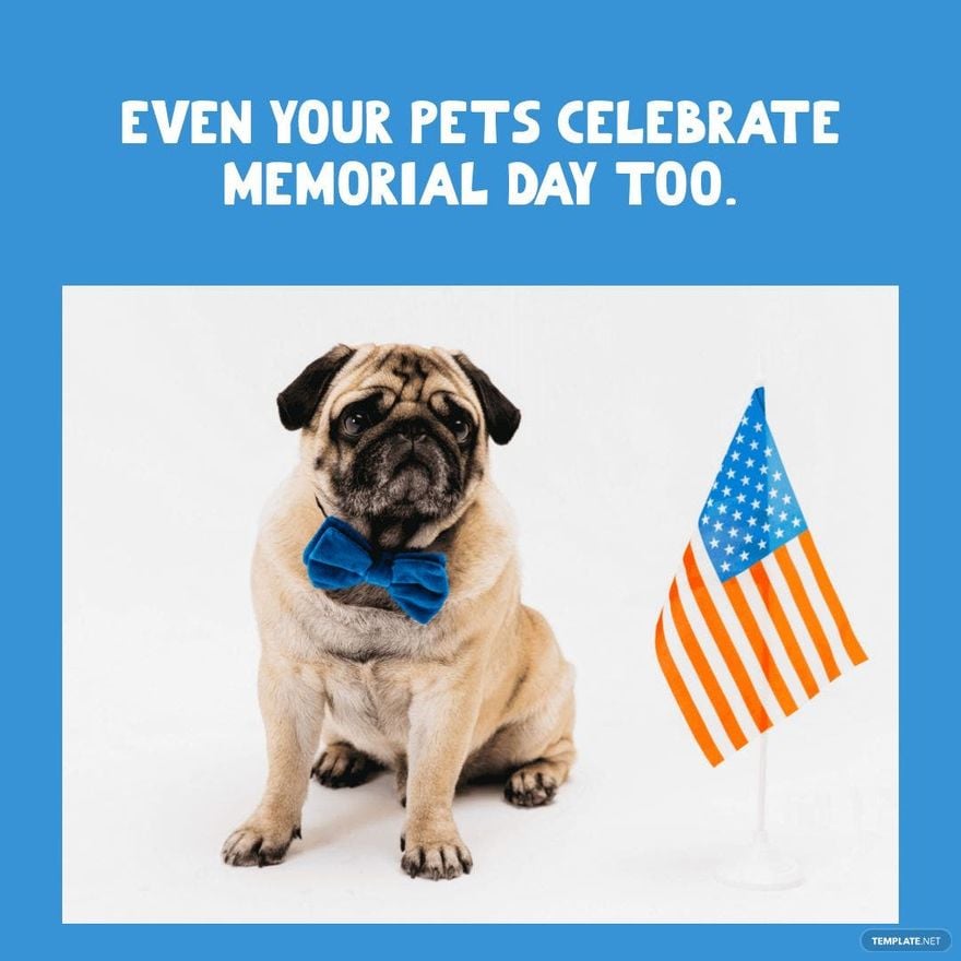 Free Memorial Day Animal Meme