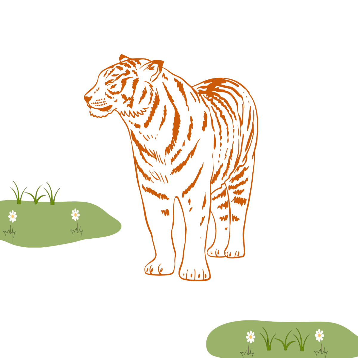 Old Tiger Clipart Template