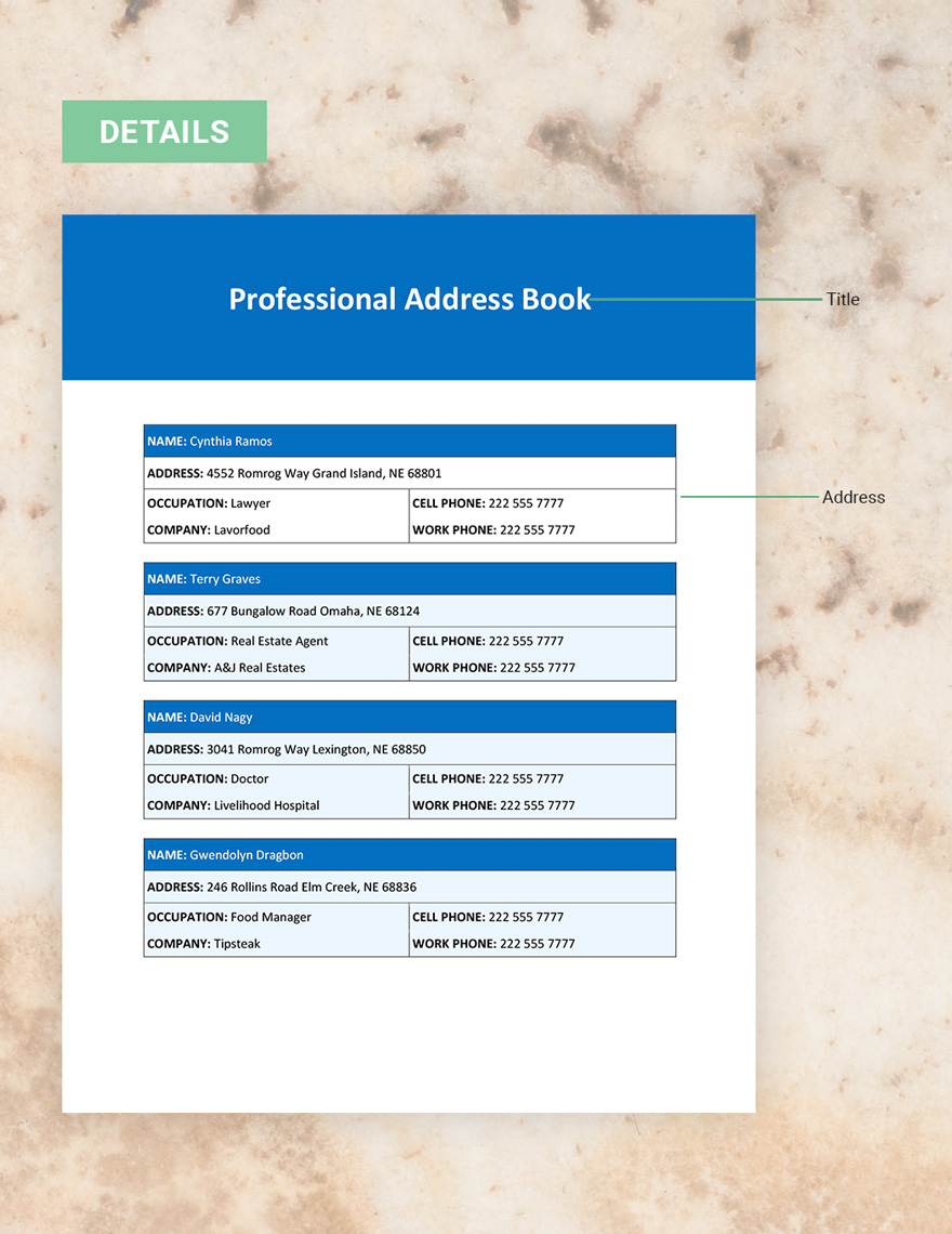 Professional Address Book Template