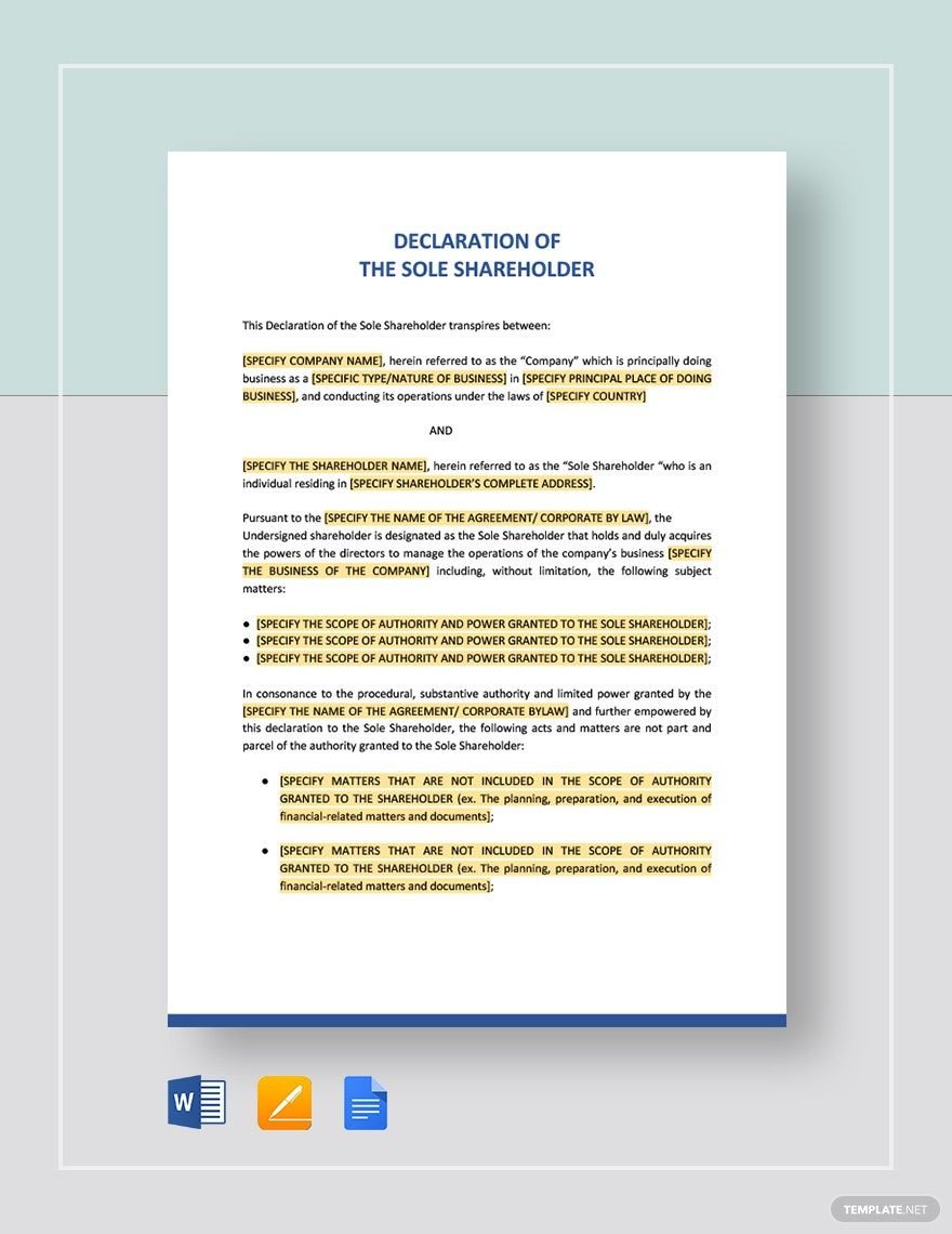 Declaration of the Sole Shareholder Template