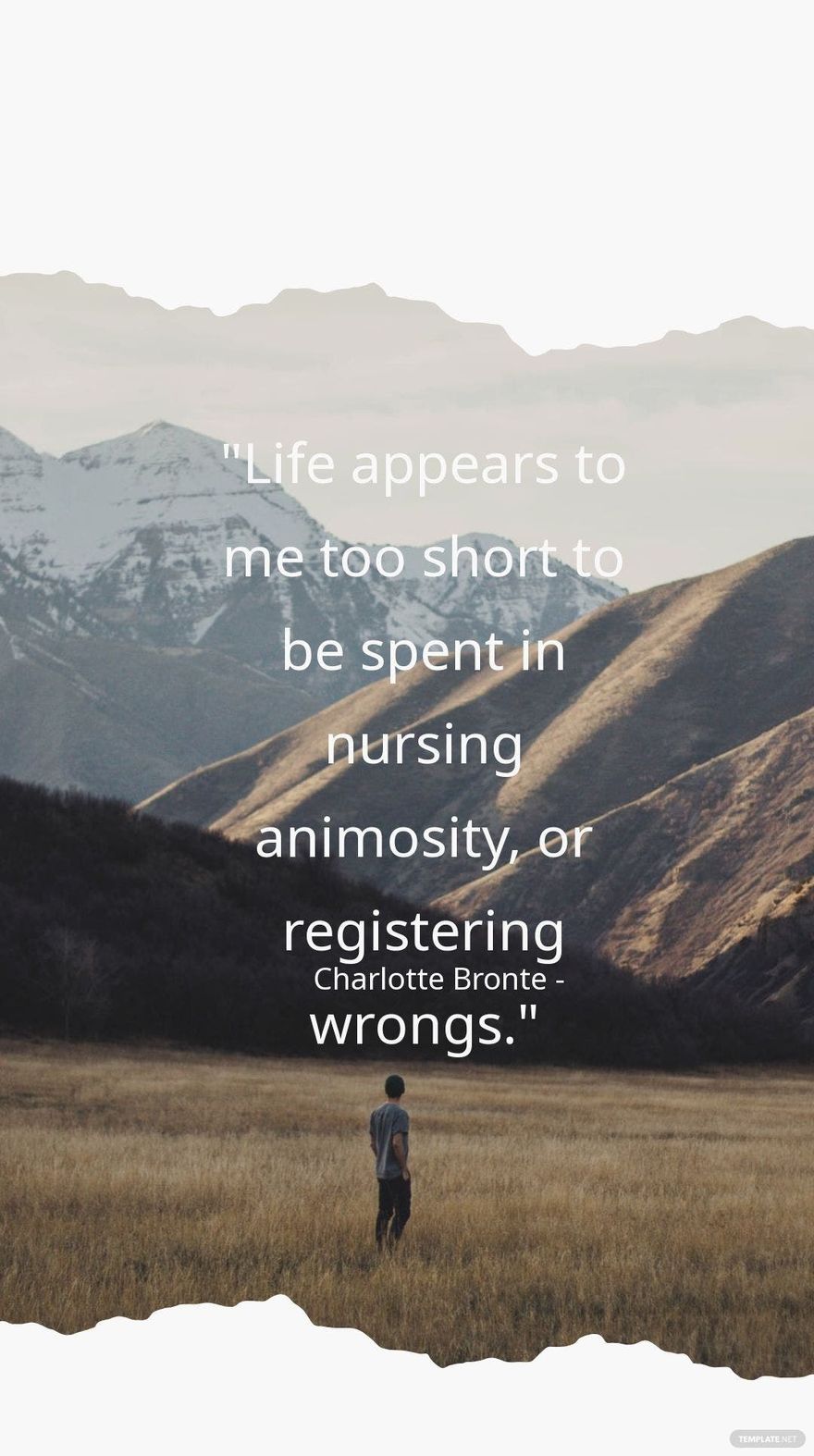 Charlotte Bronte - Life appears to me too short to be spent in nursing animosity, or registering wrongs.