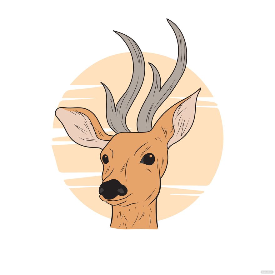 Spike Deer Clipart in Illustrator