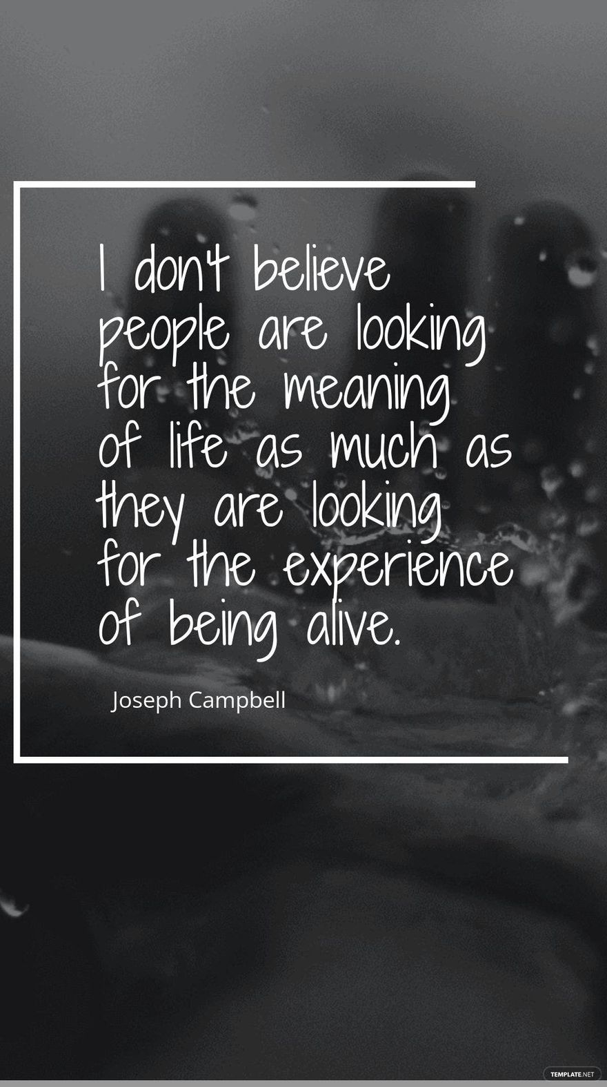 Joseph Campbell - I don't believe people are looking for the meaning of life as much as they are looking for the experience of being alive. Template