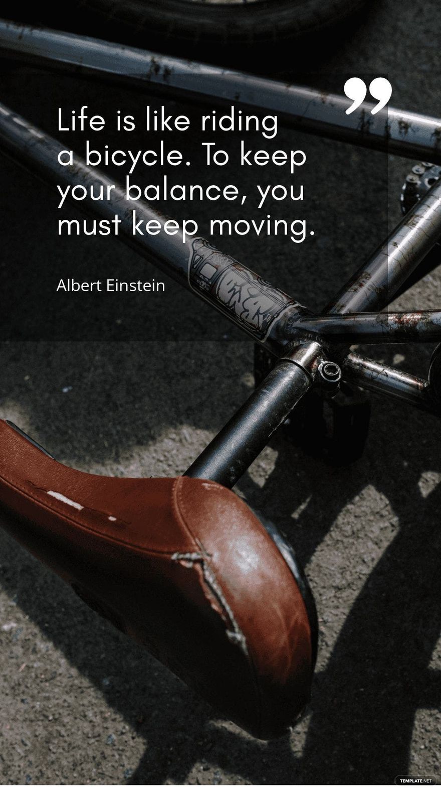 Albert Einstein - Life is like riding a bicycle. To keep your balance, you must keep moving.