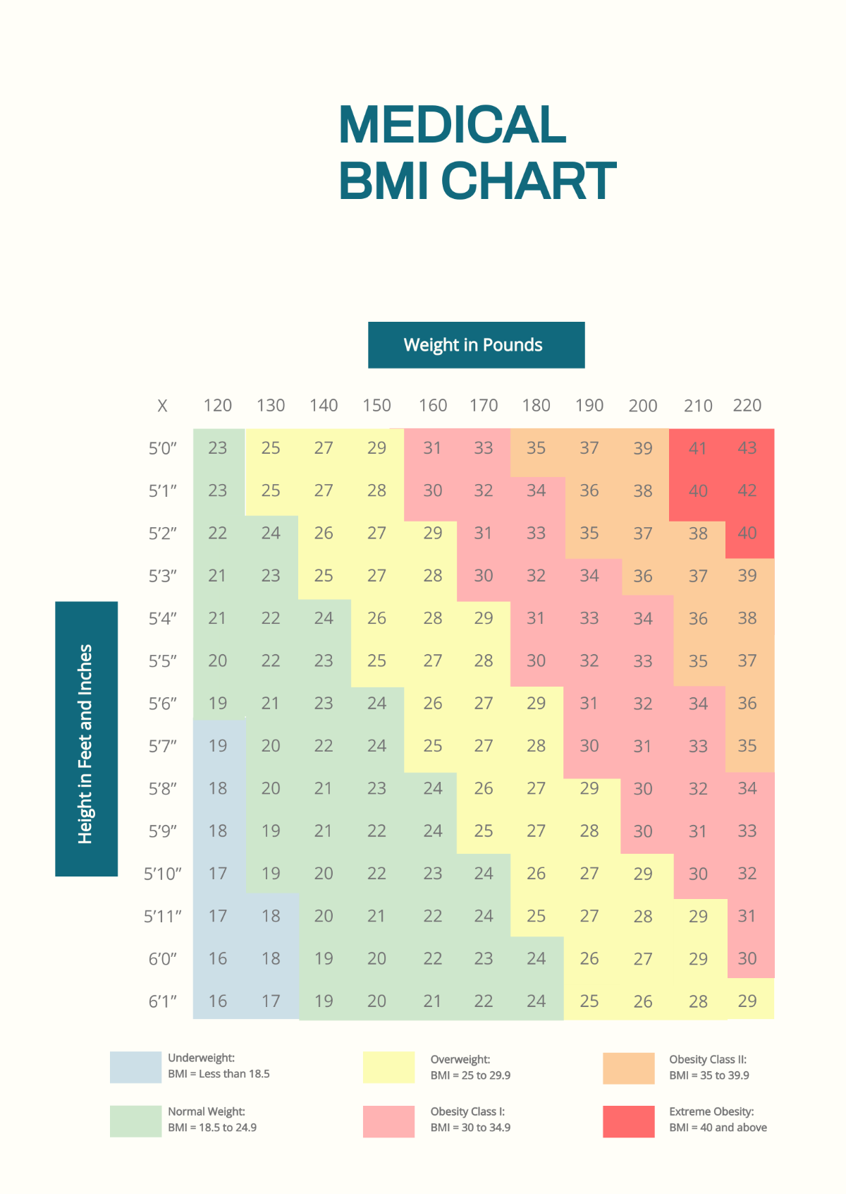 Medical BMI Chart Template