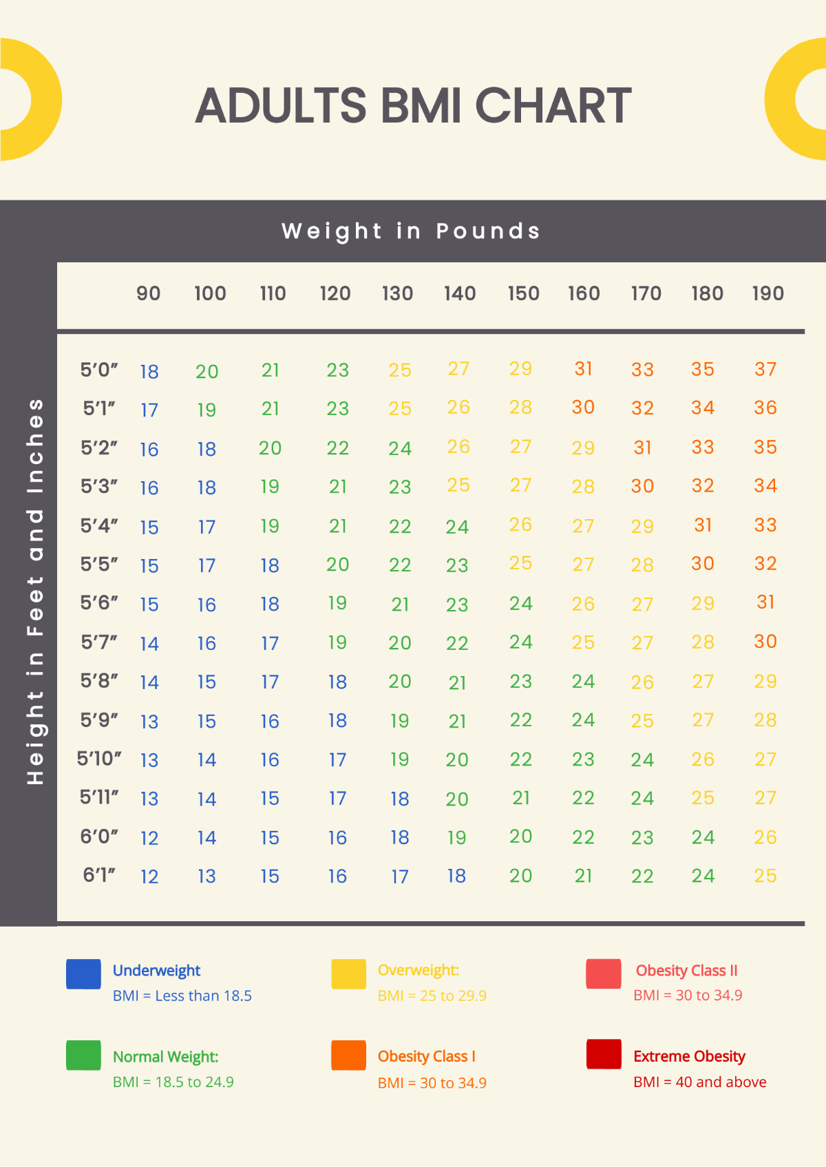 Adults BMI Chart Template