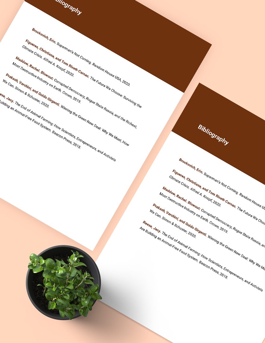 Sustainable Development Bibliography Template
