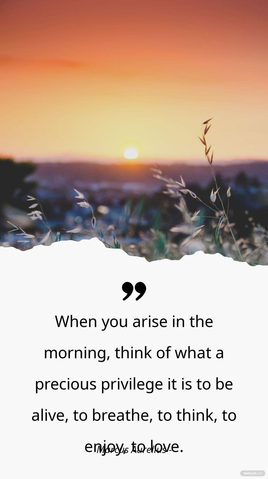 Marcus Aurelius - When you arise in the morning, think of what a precious privilege it is to be alive, to breathe, to think, to enjoy, to love.