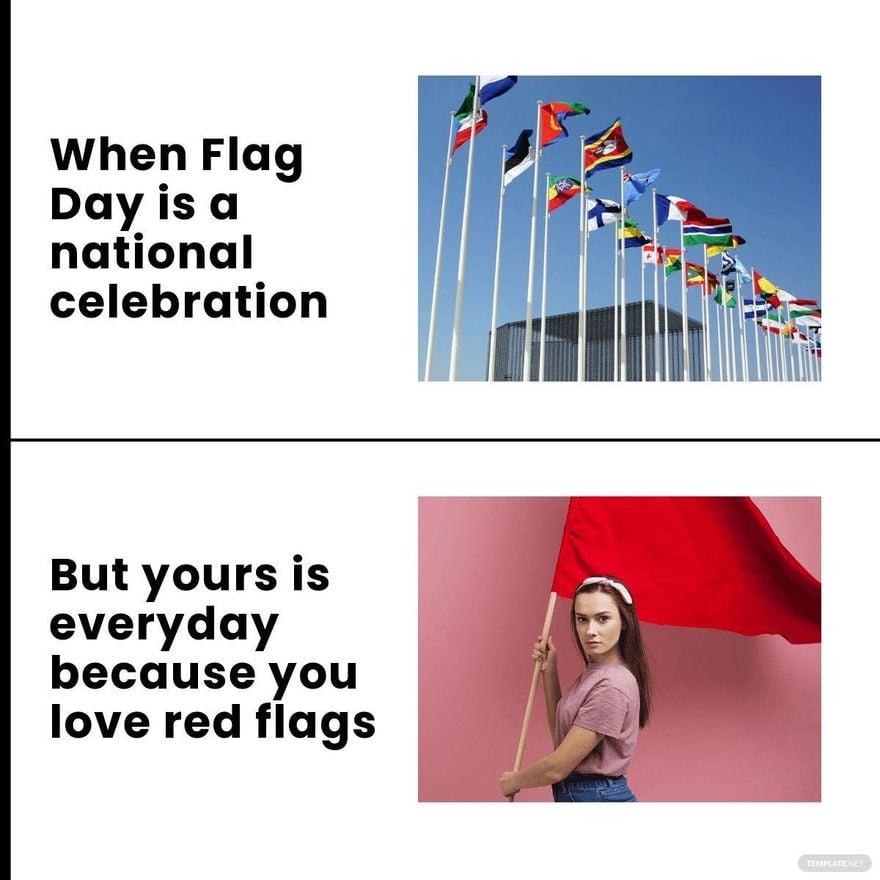 Happy Flag Day Meme