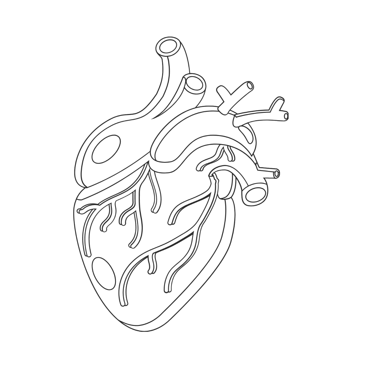 Real Heart Outline Clipart