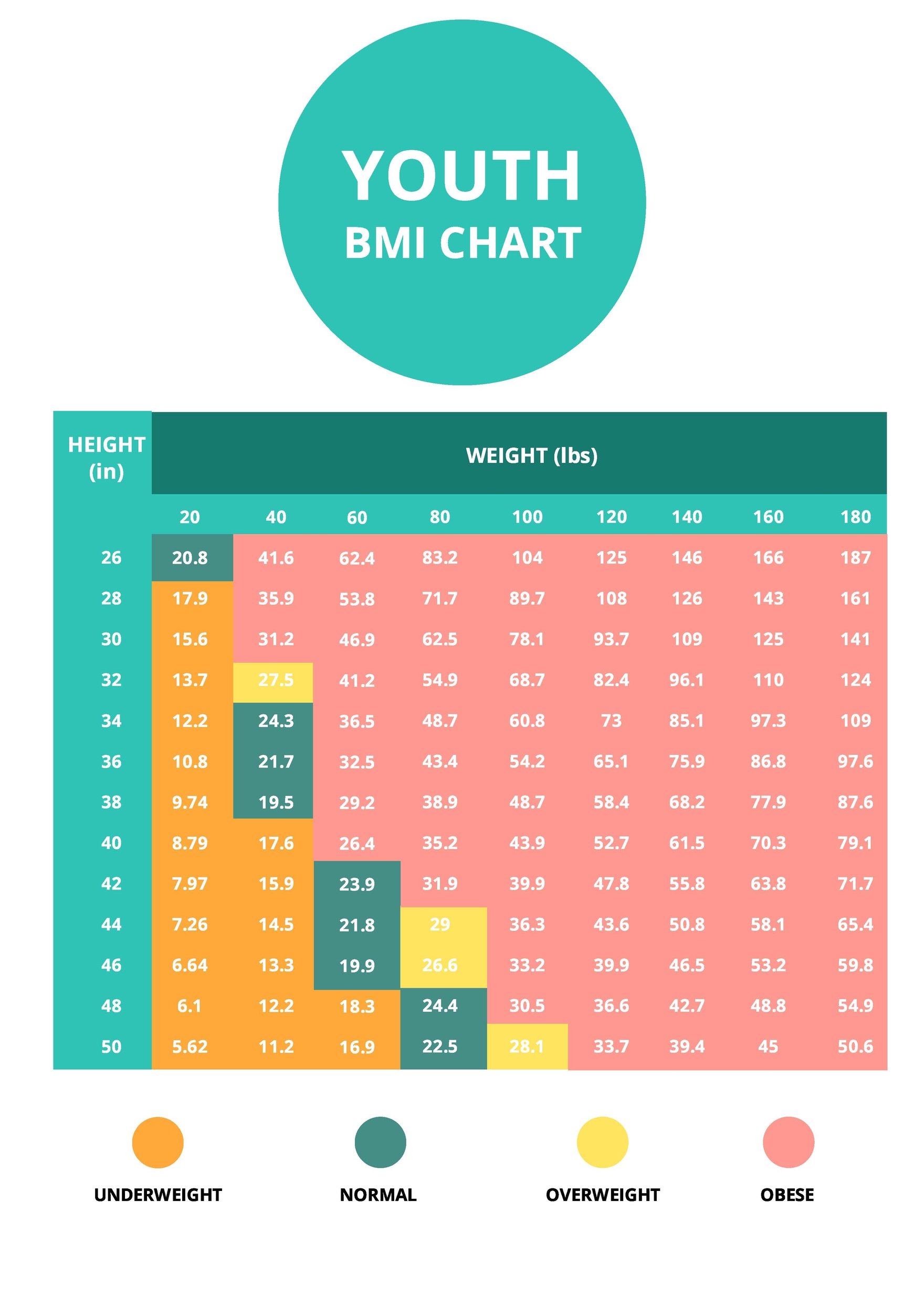 Youth BMI Chart Template