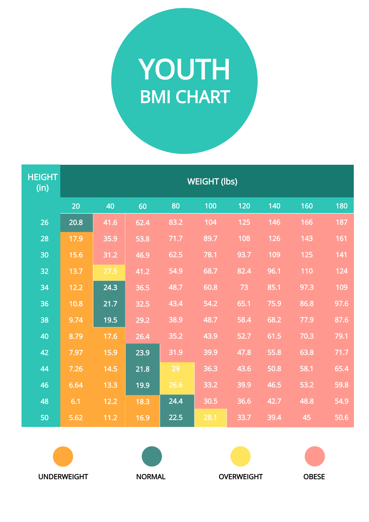 Youth BMI Chart Template