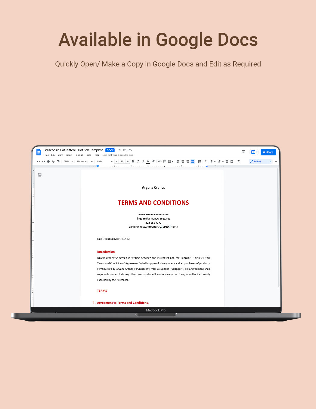 Basic Terms And Conditions Template
