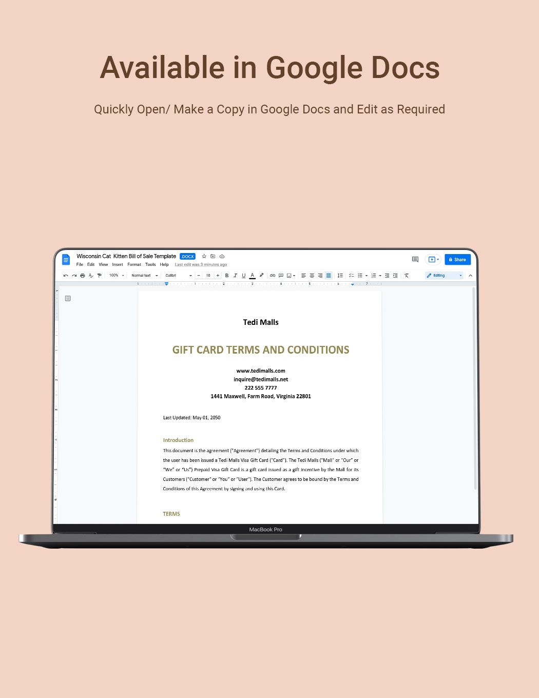 Gift Card Terms And Conditions Template In Word Google Docs Download