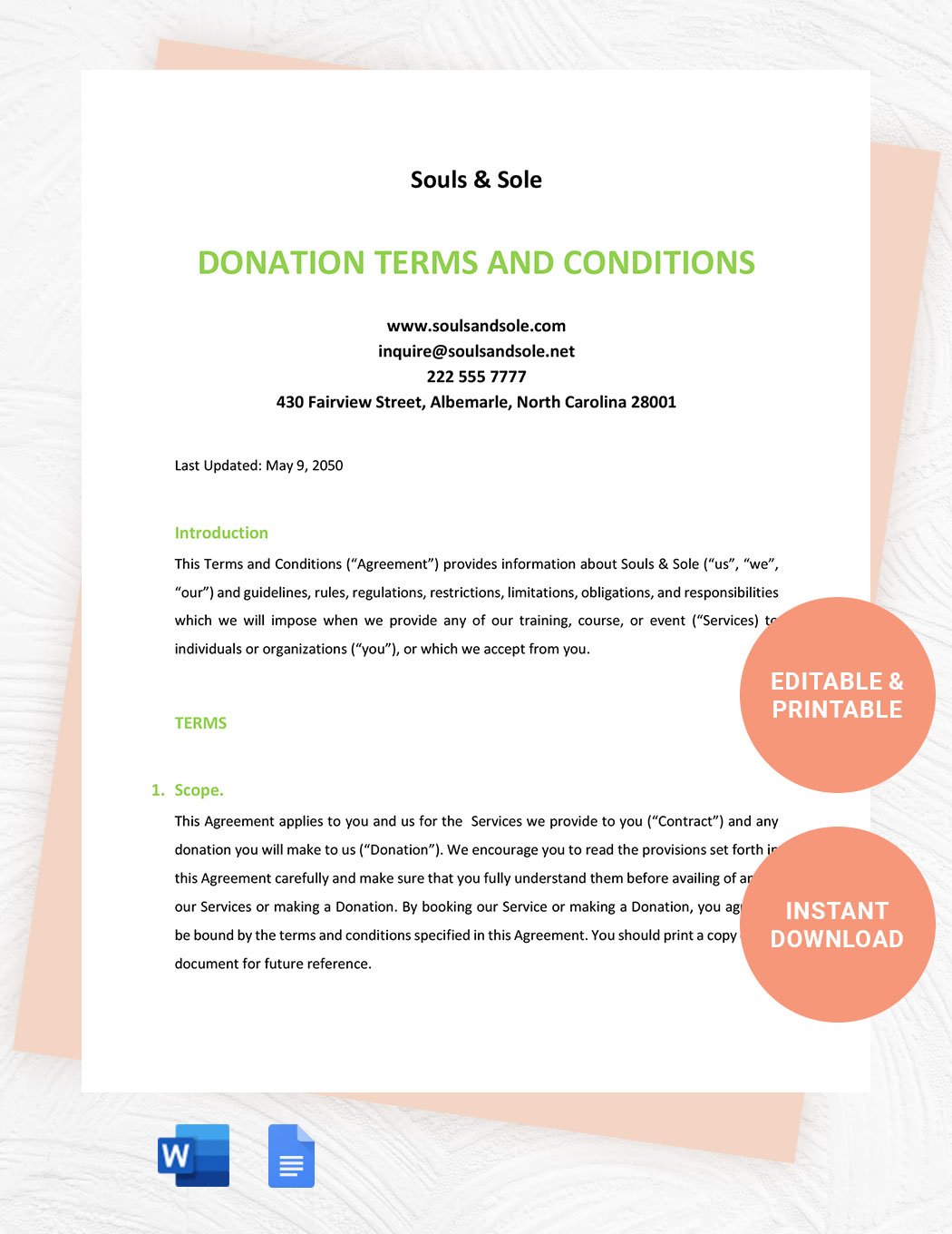 Donation Terms And Conditions Template in Word, Google Docs