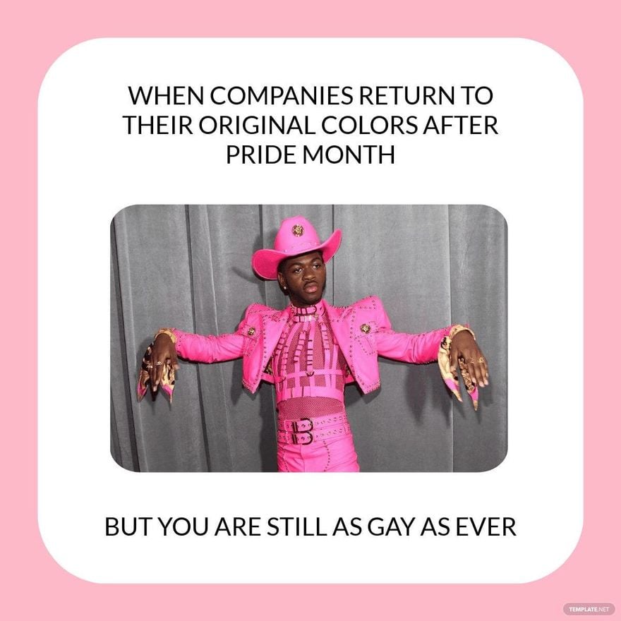 Companies After Pride Month Meme