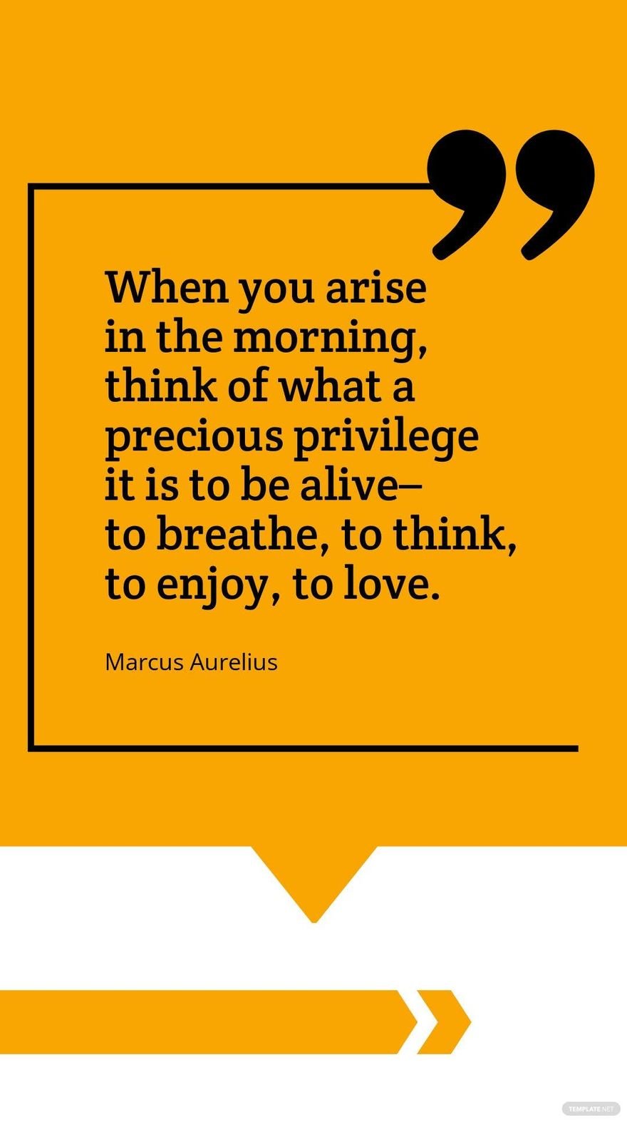 Marcus Aurelius - When you arise in the morning, think of what a precious privilege it is to be alive – to breathe, to think, to enjoy, to love.