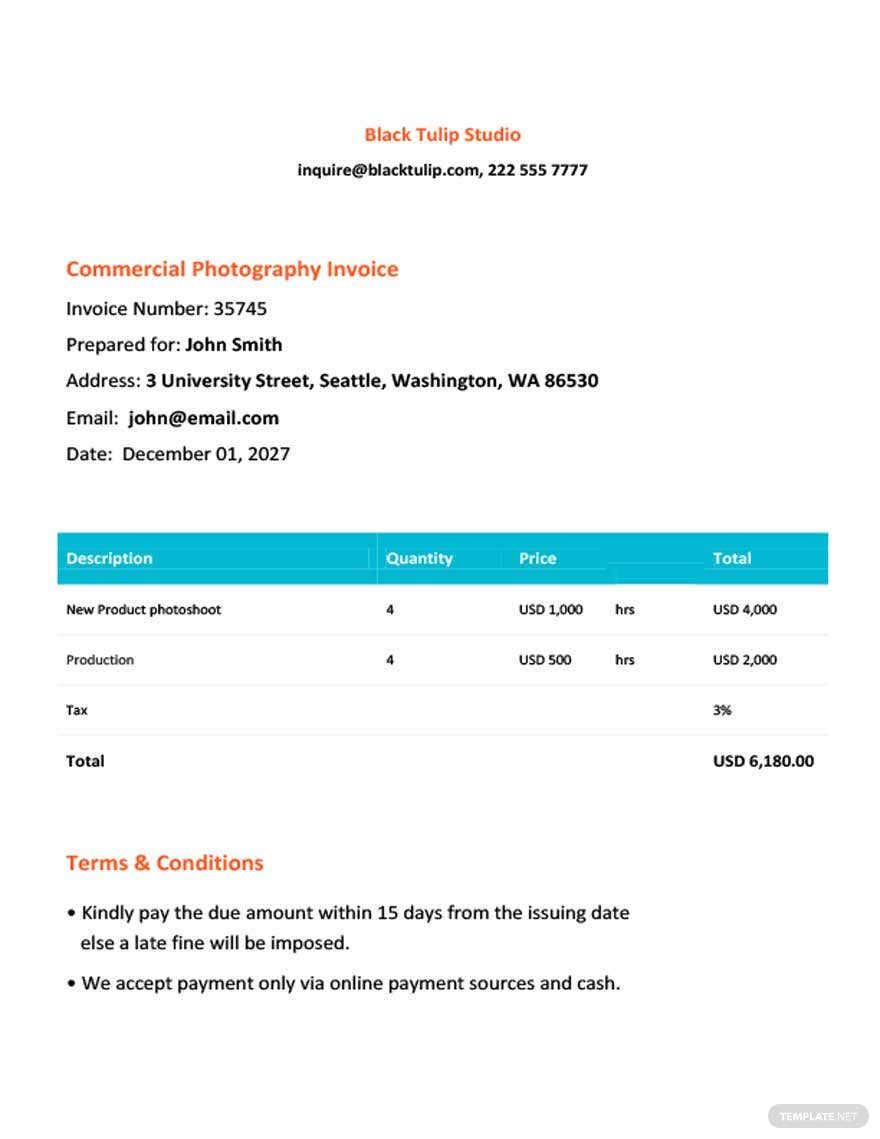 Commercial Photography Invoice Template in Google Sheets, Illustrator, PSD, Word, Google Docs, Pages - Download | Template.net