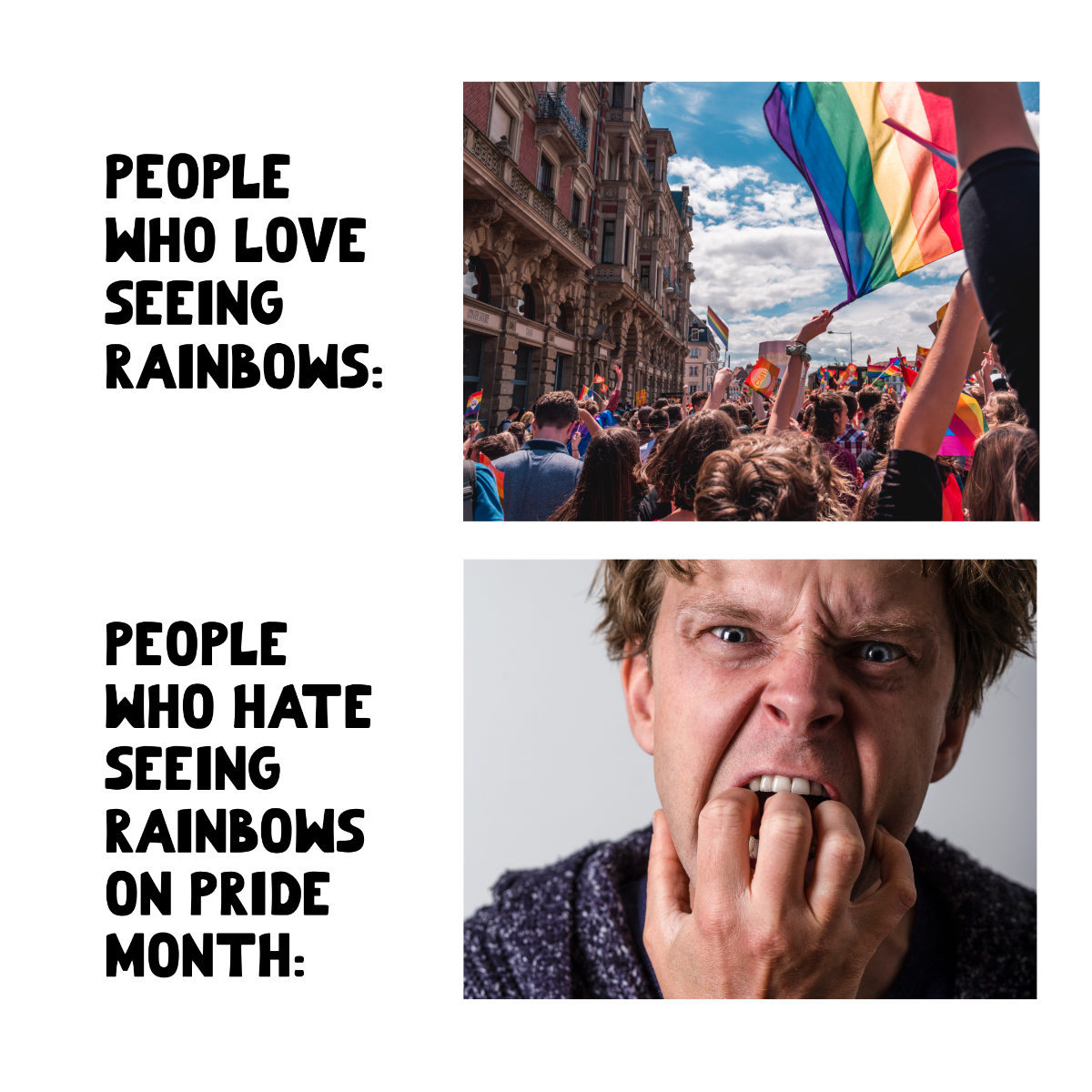 Anti Pride Month Meme Template