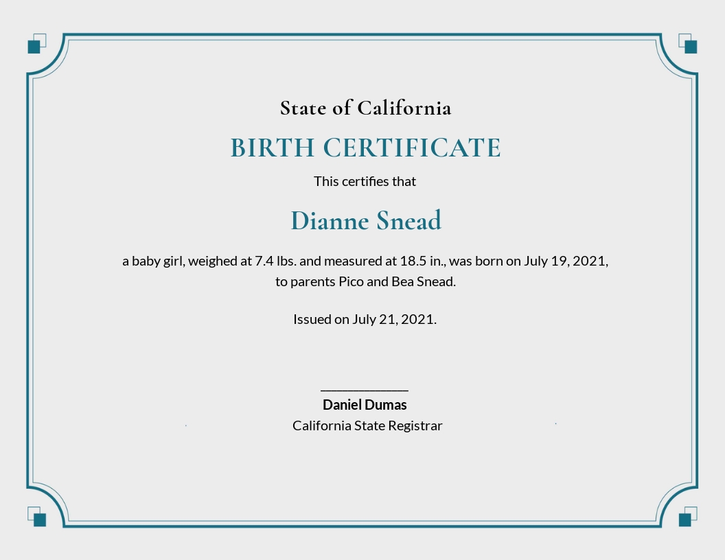 Free Blank Birth Certificate Template - Google Docs, Illustrator, InDesign, Word, PSD