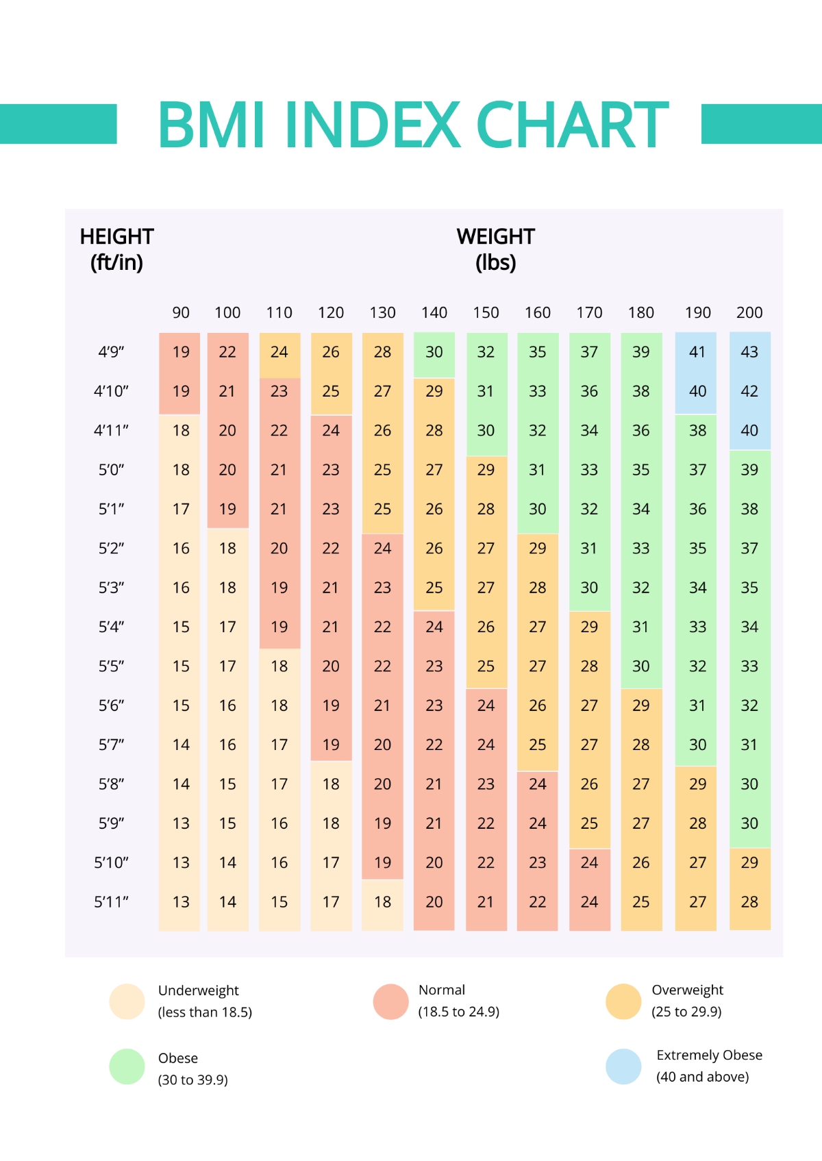 BMI Index Chart Template