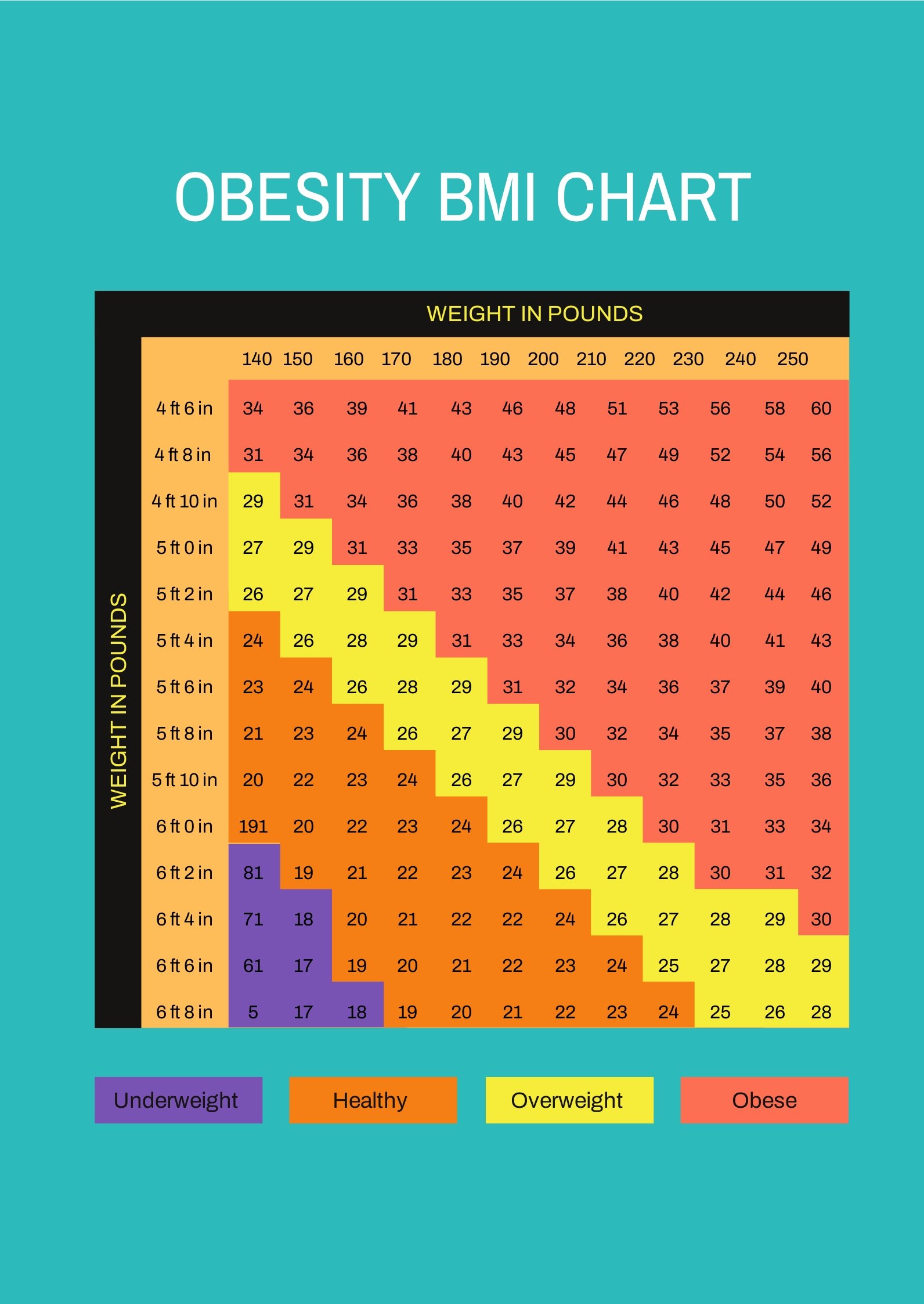Obesity BMI Chart Template
