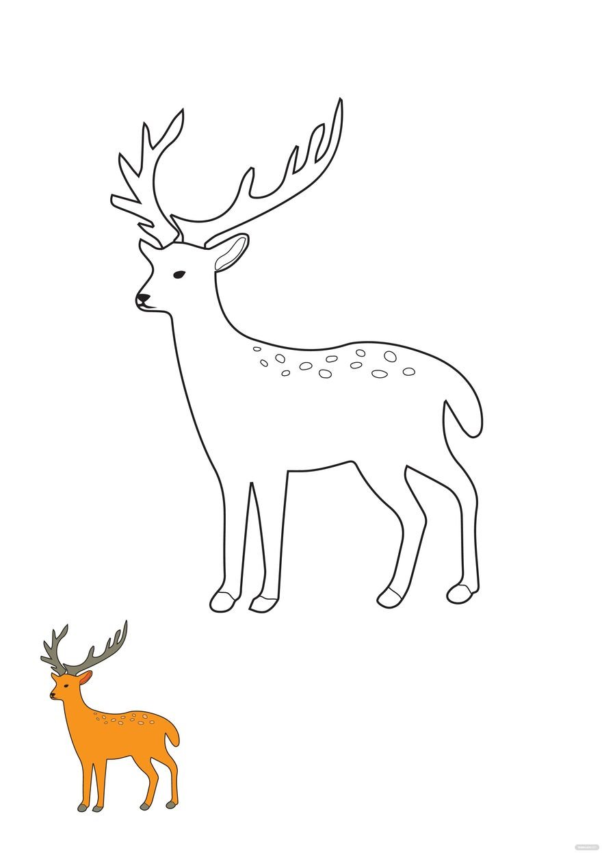 Free Deer Stag Coloring Page