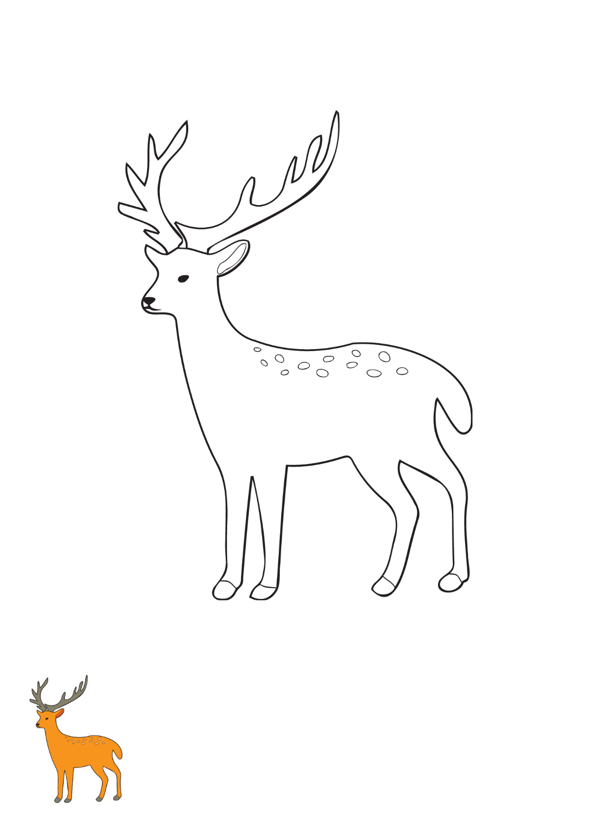 Deer Stag Coloring Page Template