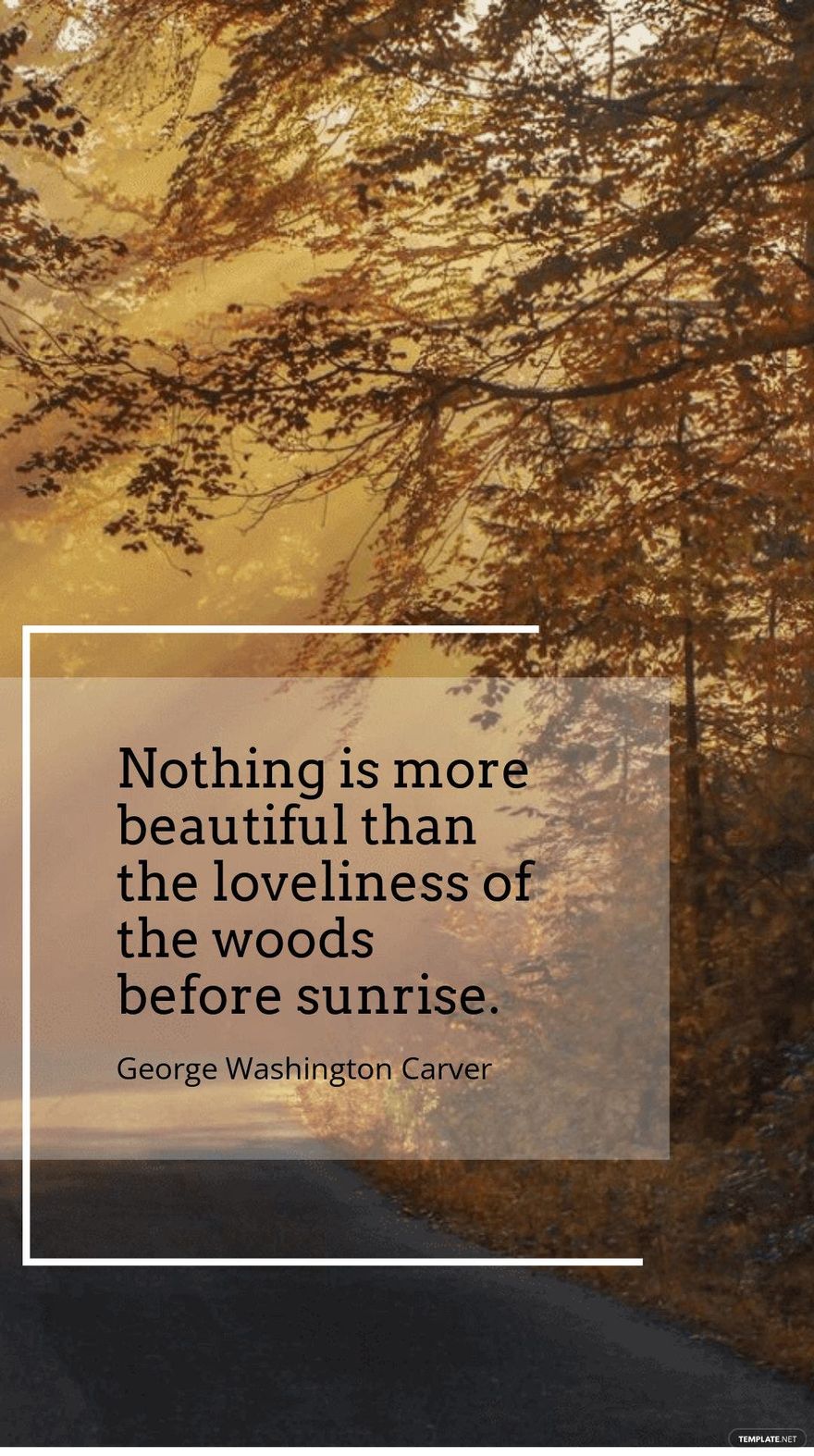 George Washington Carver - Nothing is more beautiful than the loveliness of the woods before sunrise.