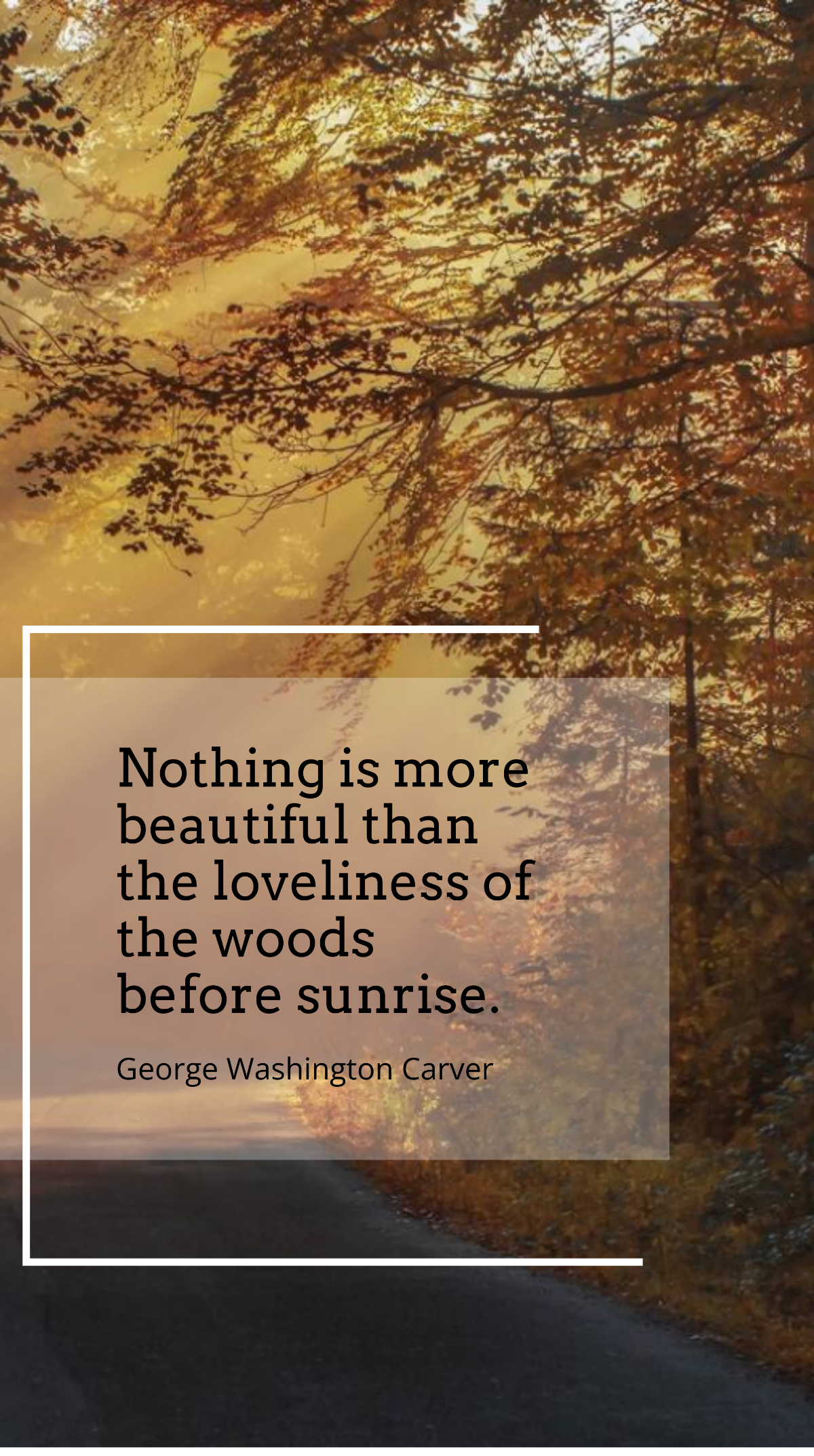George Washington Carver - Nothing is more beautiful than the loveliness of the woods before sunrise. Template