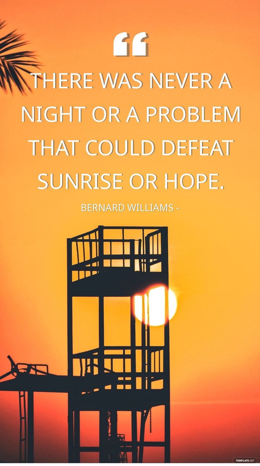 Bernard Williams - There was never a night or a problem that could defeat sunrise or hope.