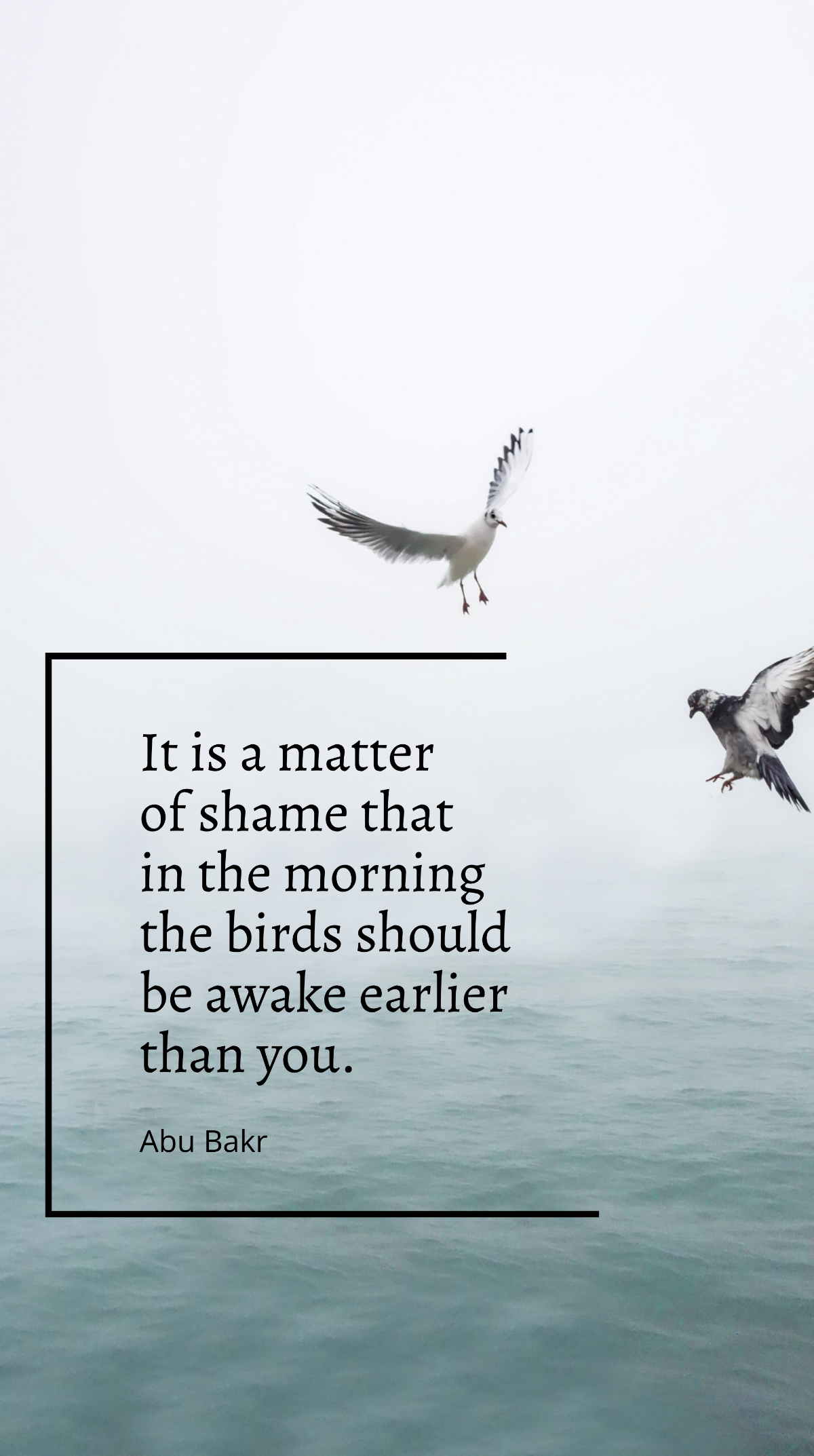 Abu Bakr - It is a matter of shame that in the morning the birds should be awake earlier than you. Template