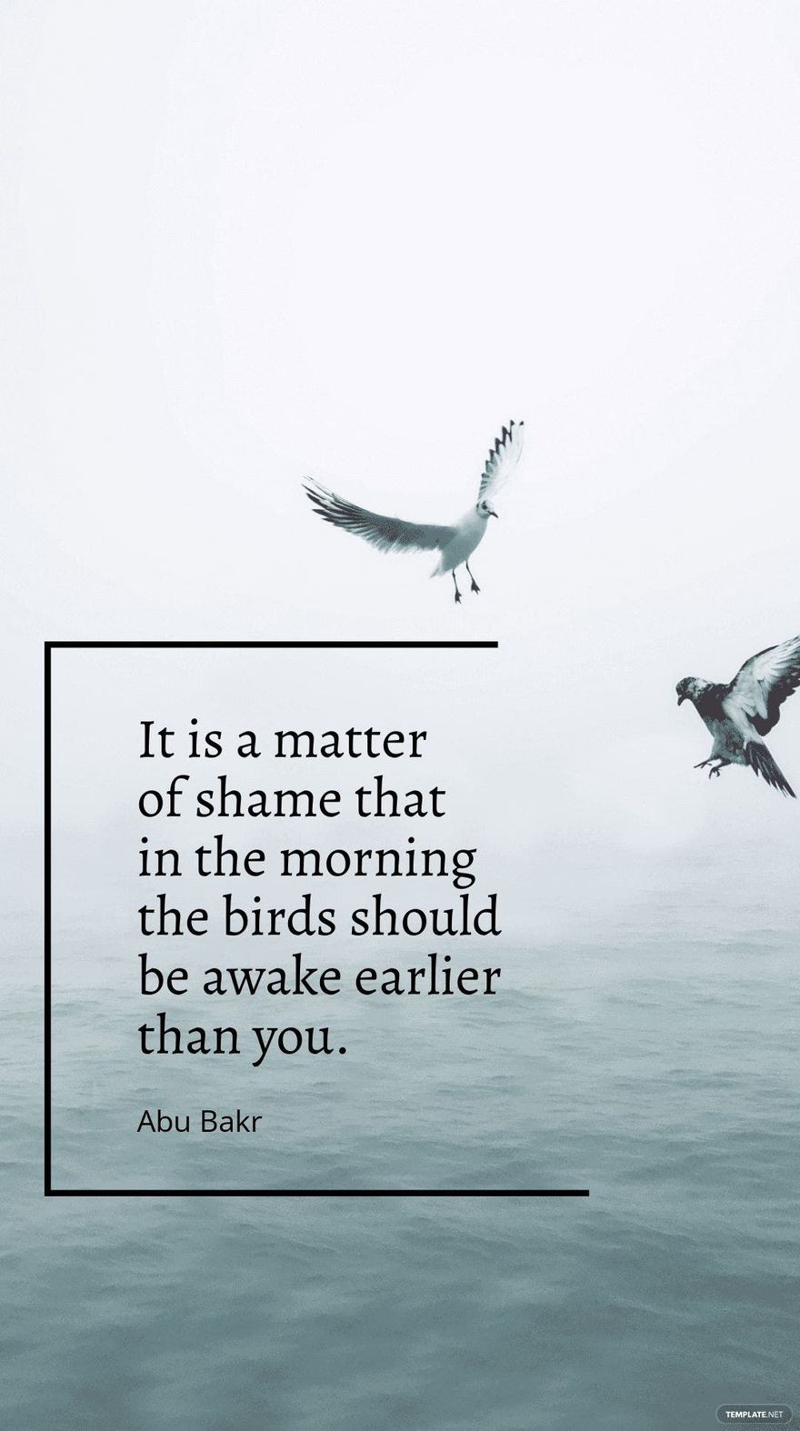 Abu Bakr Good Morning Quote - It Is A Matter Of Shame That In The Morning  The Birds Should Be Awake Earlier Than You. | Template.Net