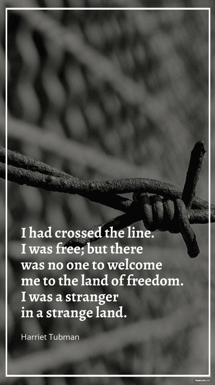 Harriet Tubman - I had crossed the line. I was free; but there was no one to welcome me to the land of freedom. I was a stranger in a strange land.