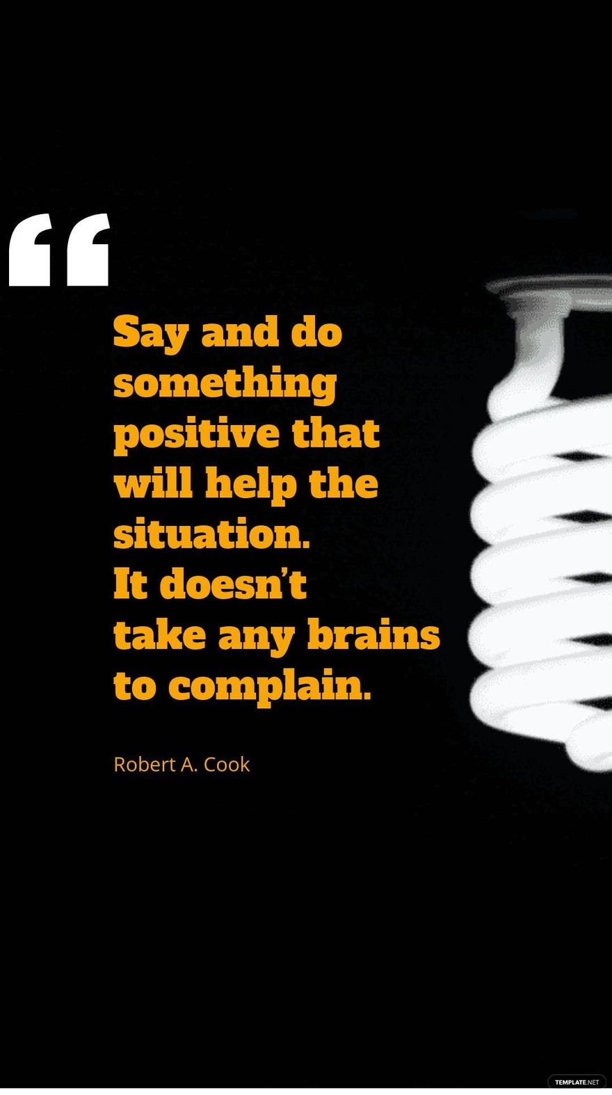 Robert A. Cook - Say and do something positive that will help the situation. It doesn’t take any brains to complain.