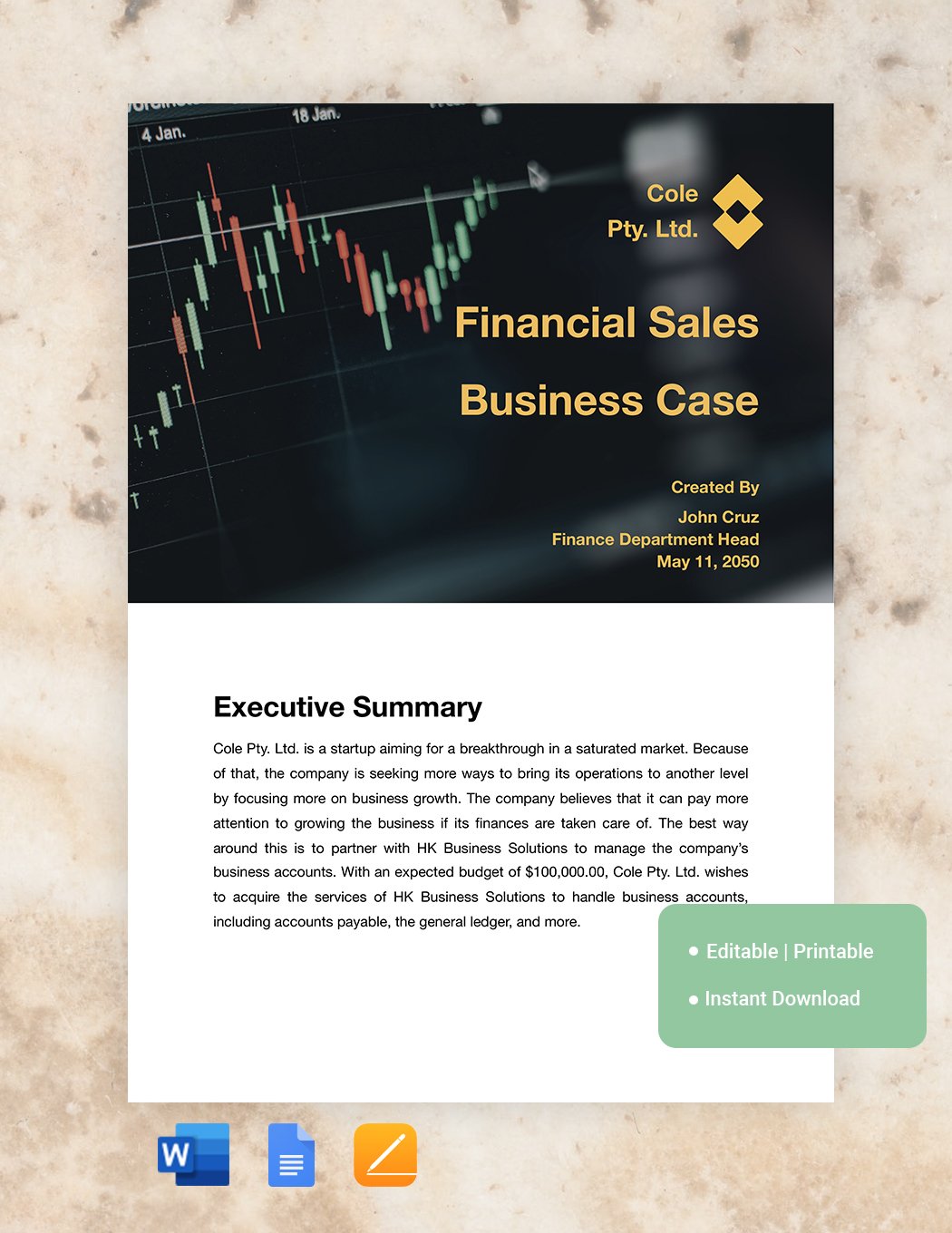 Financial Business Case Template