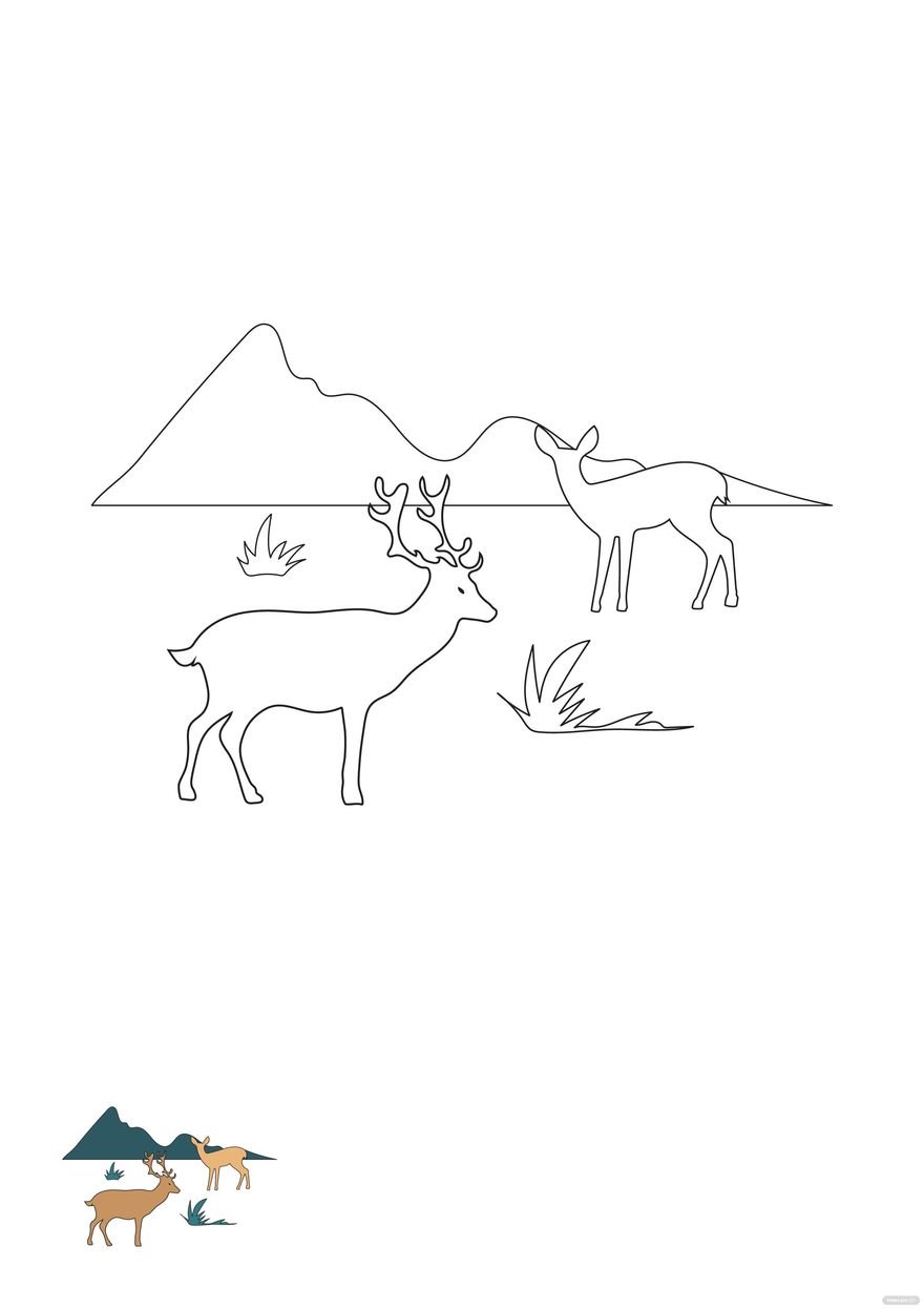 Free Two Deer Coloring Page