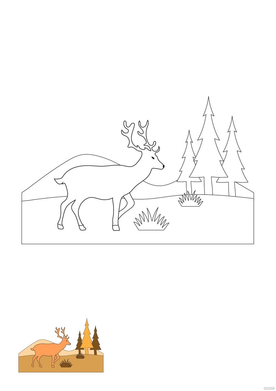 Forest Deer Coloring Page