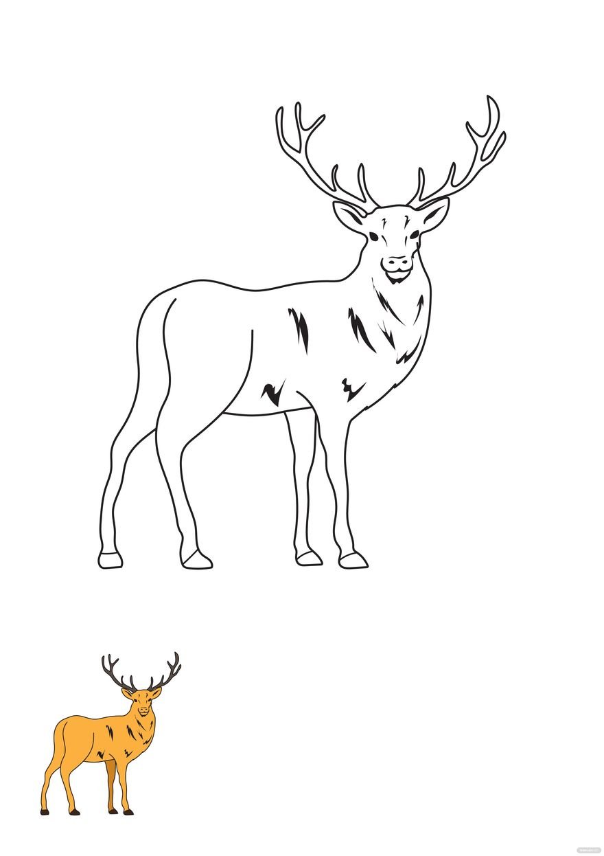 Free Mule Deer Coloring Page