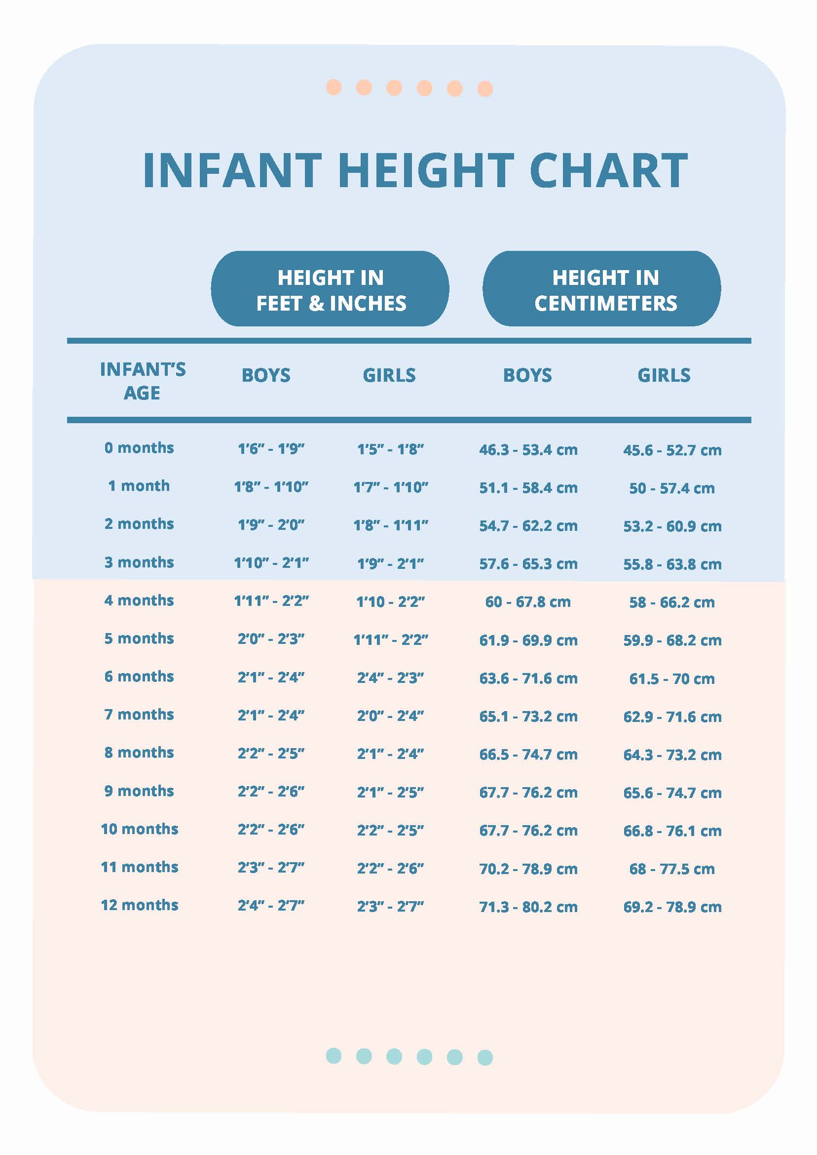 Free Infant Height Chart Download In PDF Template