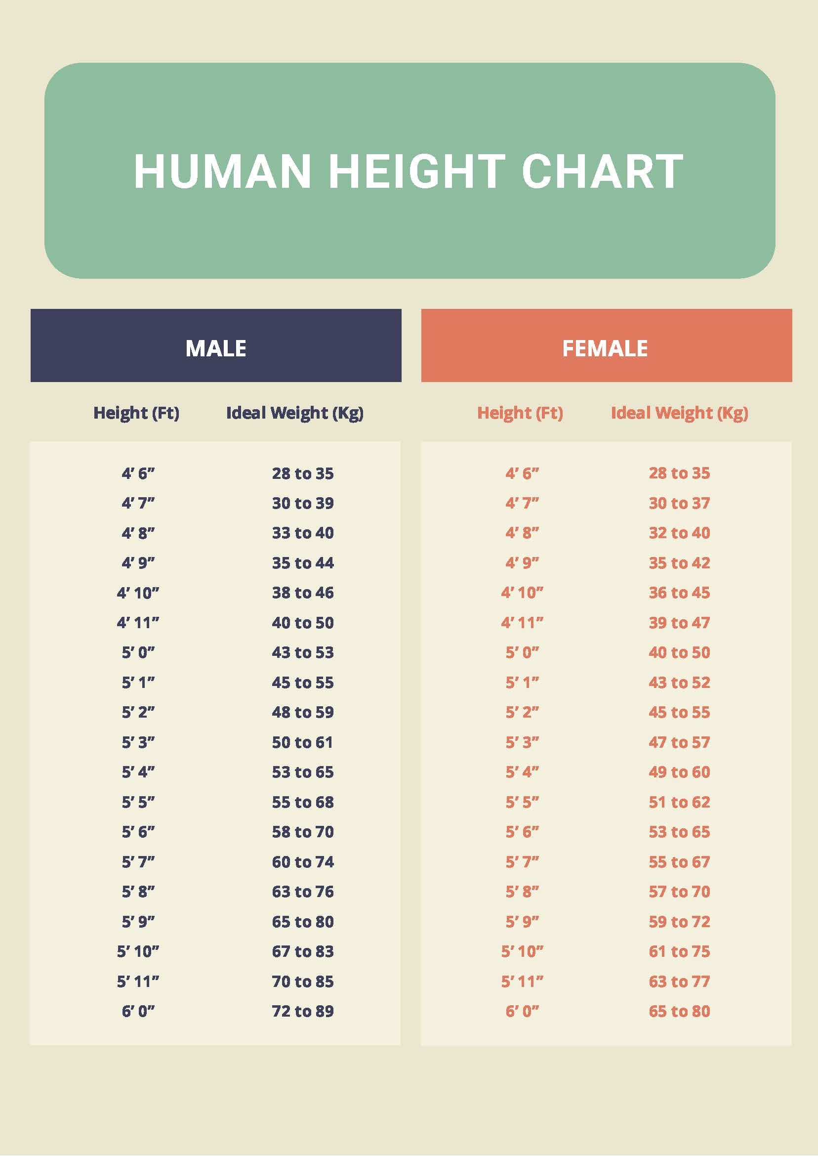 Human Height Conversion Table - Infoupdate.org